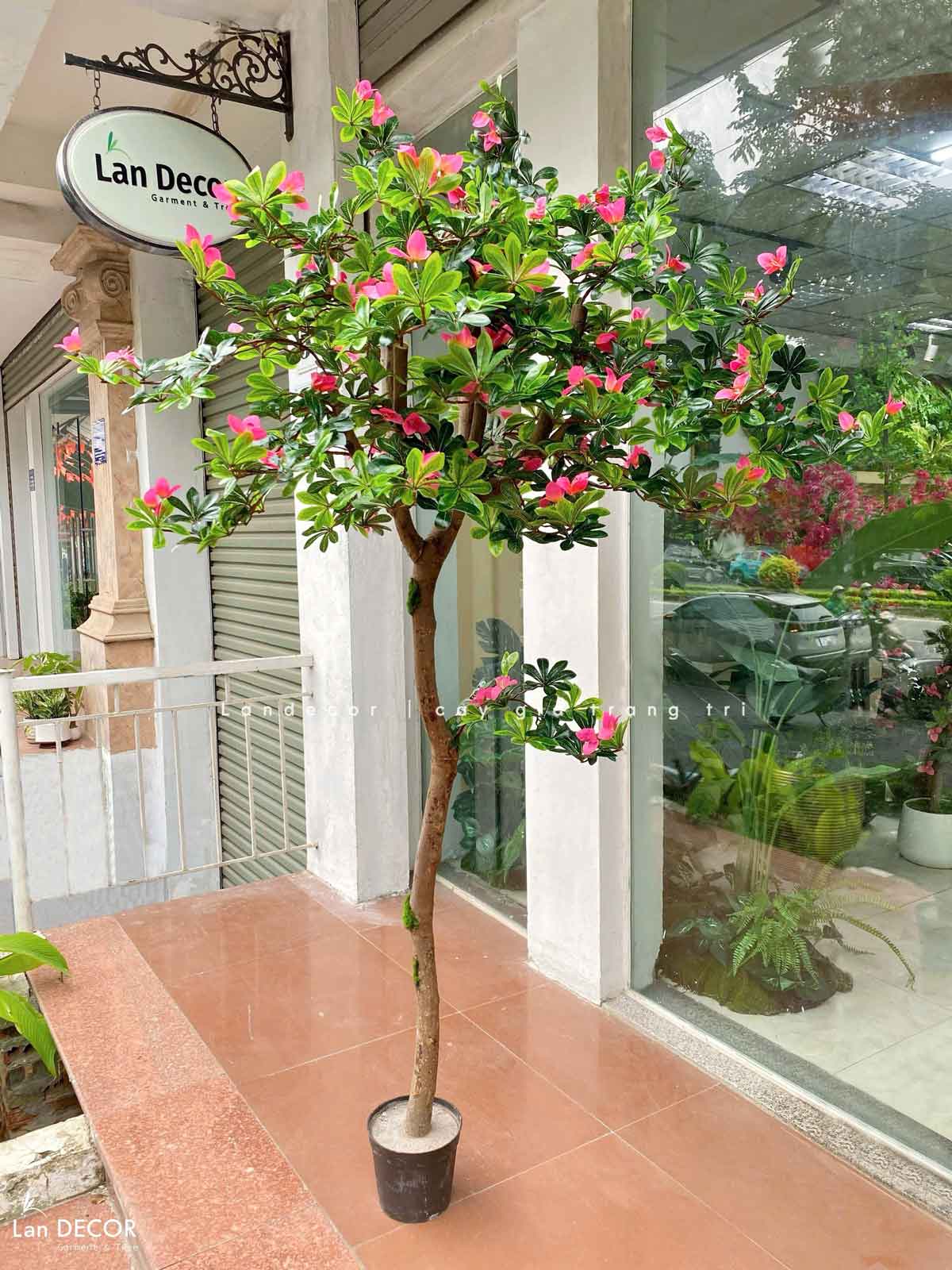 Cây Hoa Thiết Kế- Cây Đỗ Quyên Giả Thiết Kế Tiểu Cảnh Căn Hộ Đẹp Tự Nhiên (2m)- CC1174
