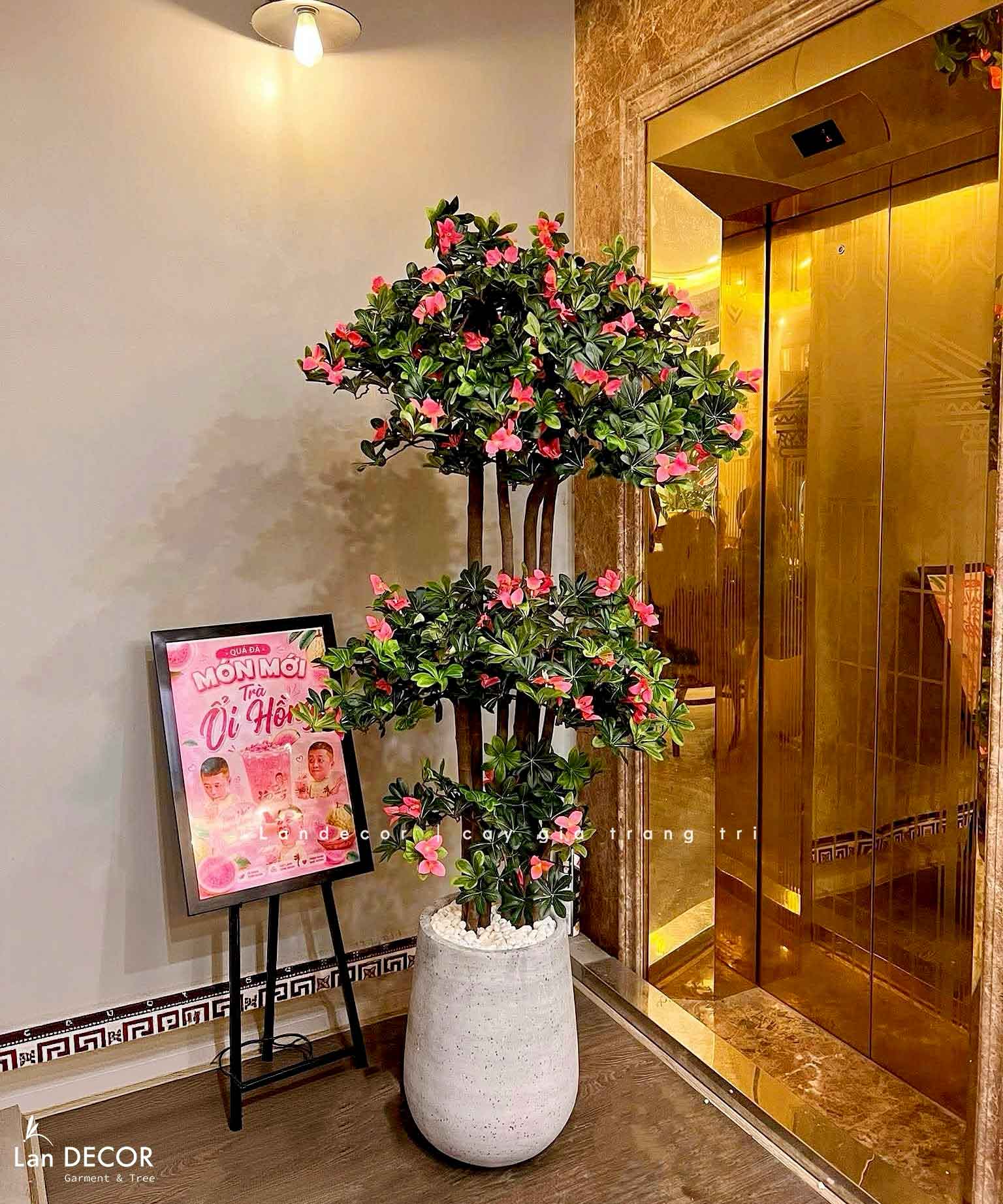 Cây hoa Đỗ Quyên cây cảnh trang trí 190 cm - LC2450-Ghép
