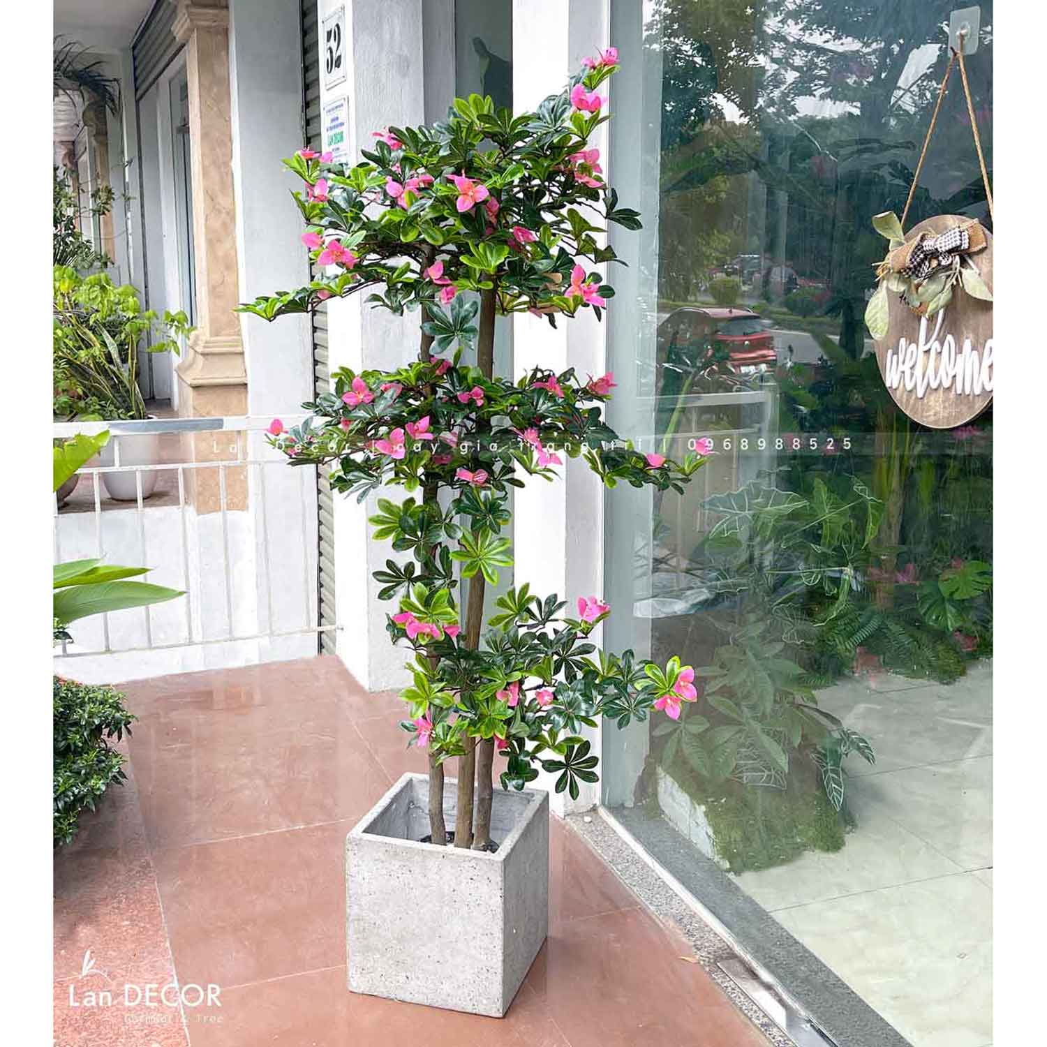 Cây Đỗ Quyên Trang Trí Nội Thất (160cm)- CC986