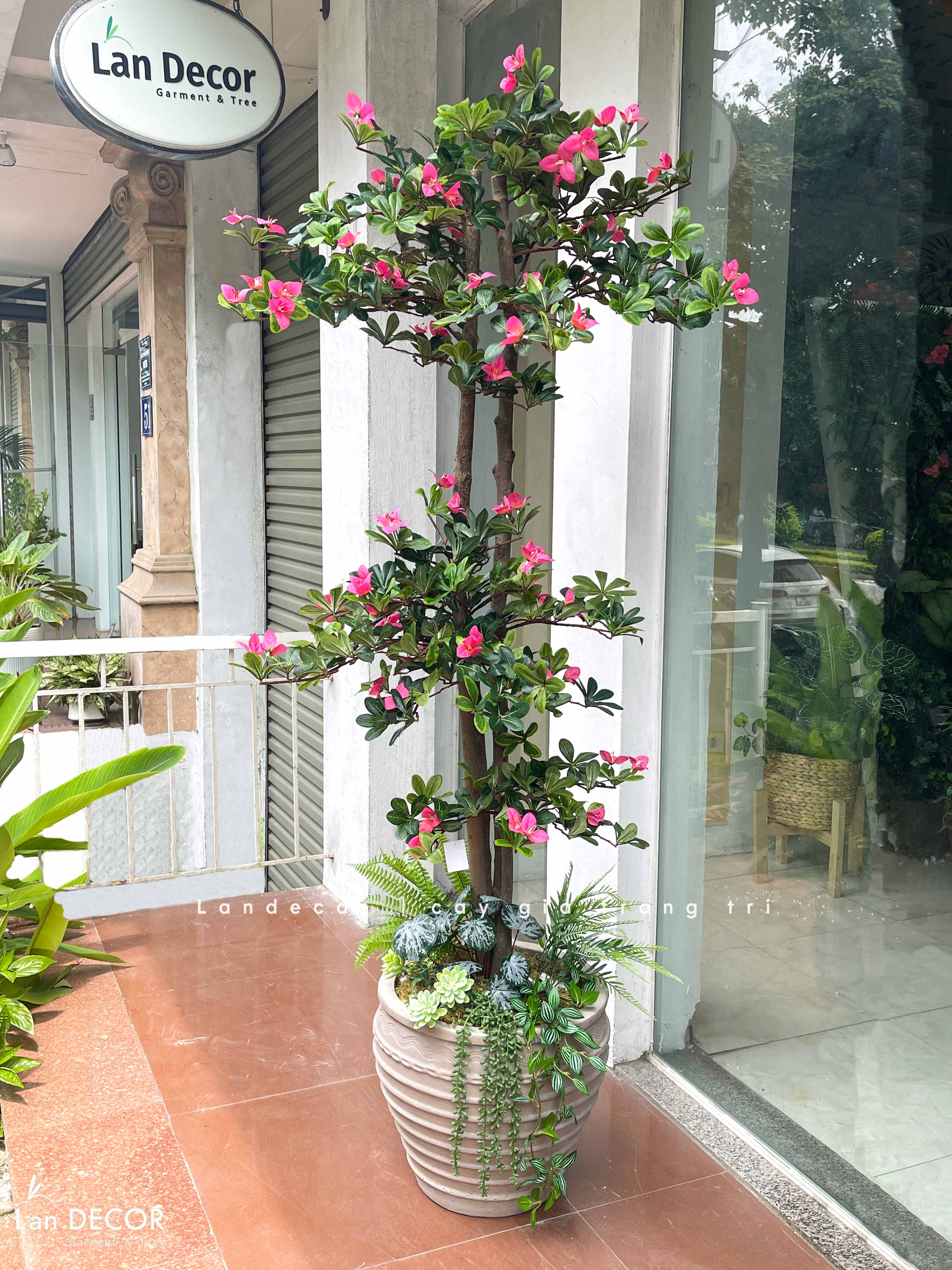 Cây hoa Đỗ Quyên cây cảnh trang trí 165 cm - LC2450