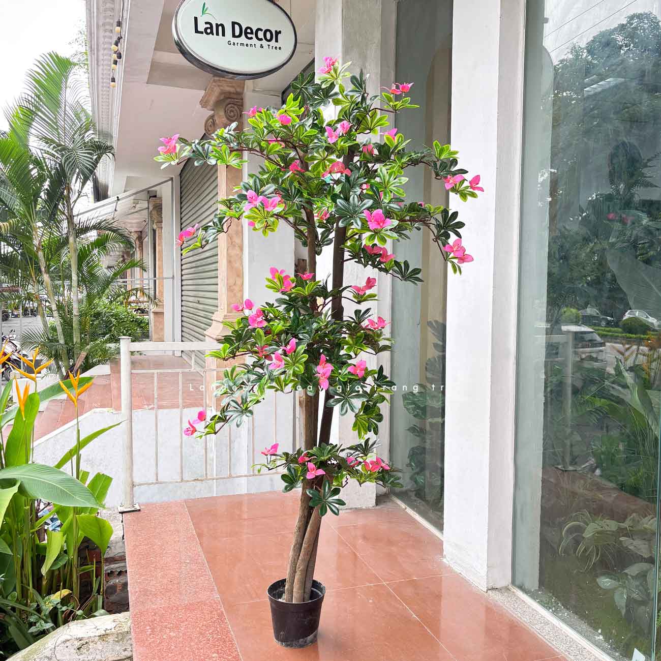 Cây hoa Đỗ Quyên cây cảnh trang trí 165 cm - LC2450