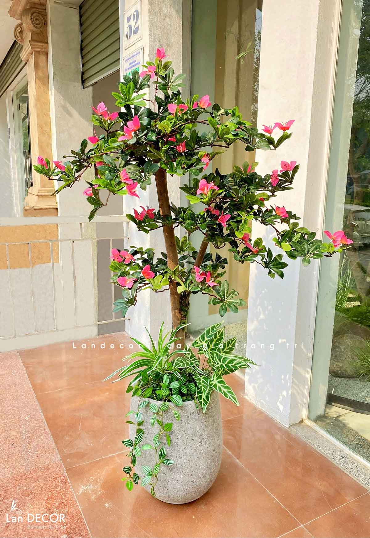 Cây Đỗ Quyên Thiết Kế Lan Decor (130cm)- CC959