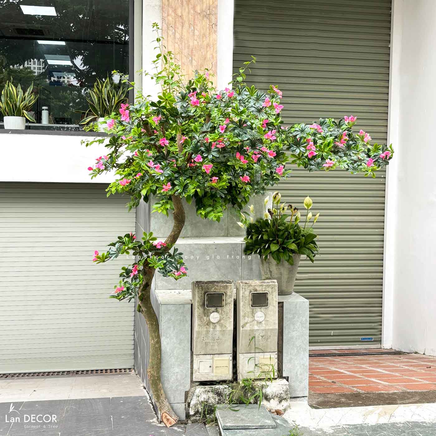 Cây Giả Tiểu Cảnh - Cây Đỗ Quyên Dáng Huyền Trang Trí Tiểu Cảnh Ấn Tượng (200cm)- CC1090