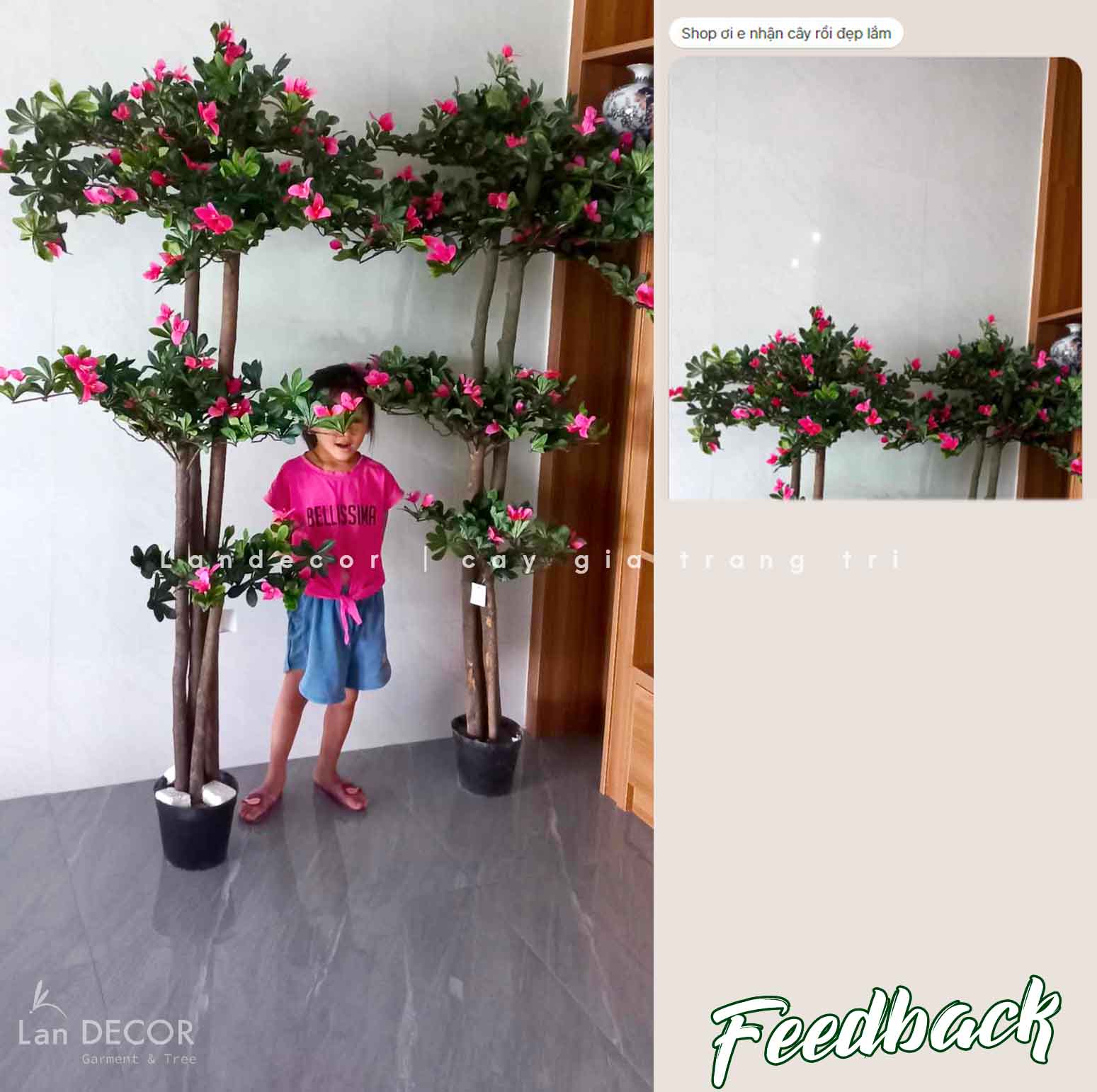 Cây hoa Đỗ Quyên cây cảnh trang trí 190 cm - LC2450-Ghép