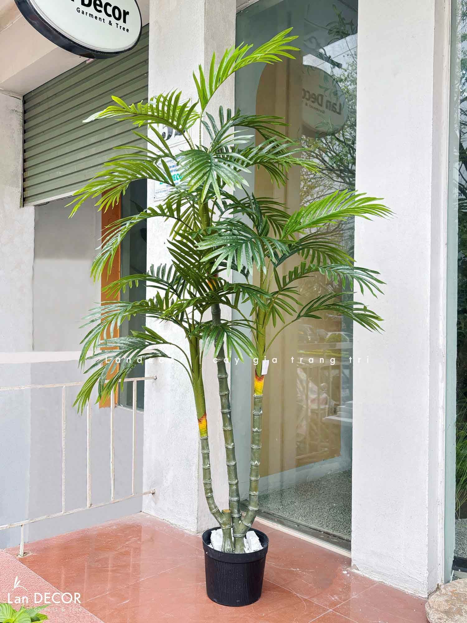 Cây Giả Trang Trí- Cây Dừa Giả 3 Thân Thiết Kế Tiểu Cảnh Xanh Độc Đáo (180cm)- LC3707