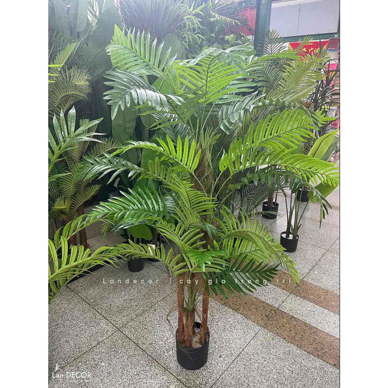 Dừa Cảnh Giả - Cây Dừa Cảnh Giả Decor Cửa Hiệu (150cm)- LC3678