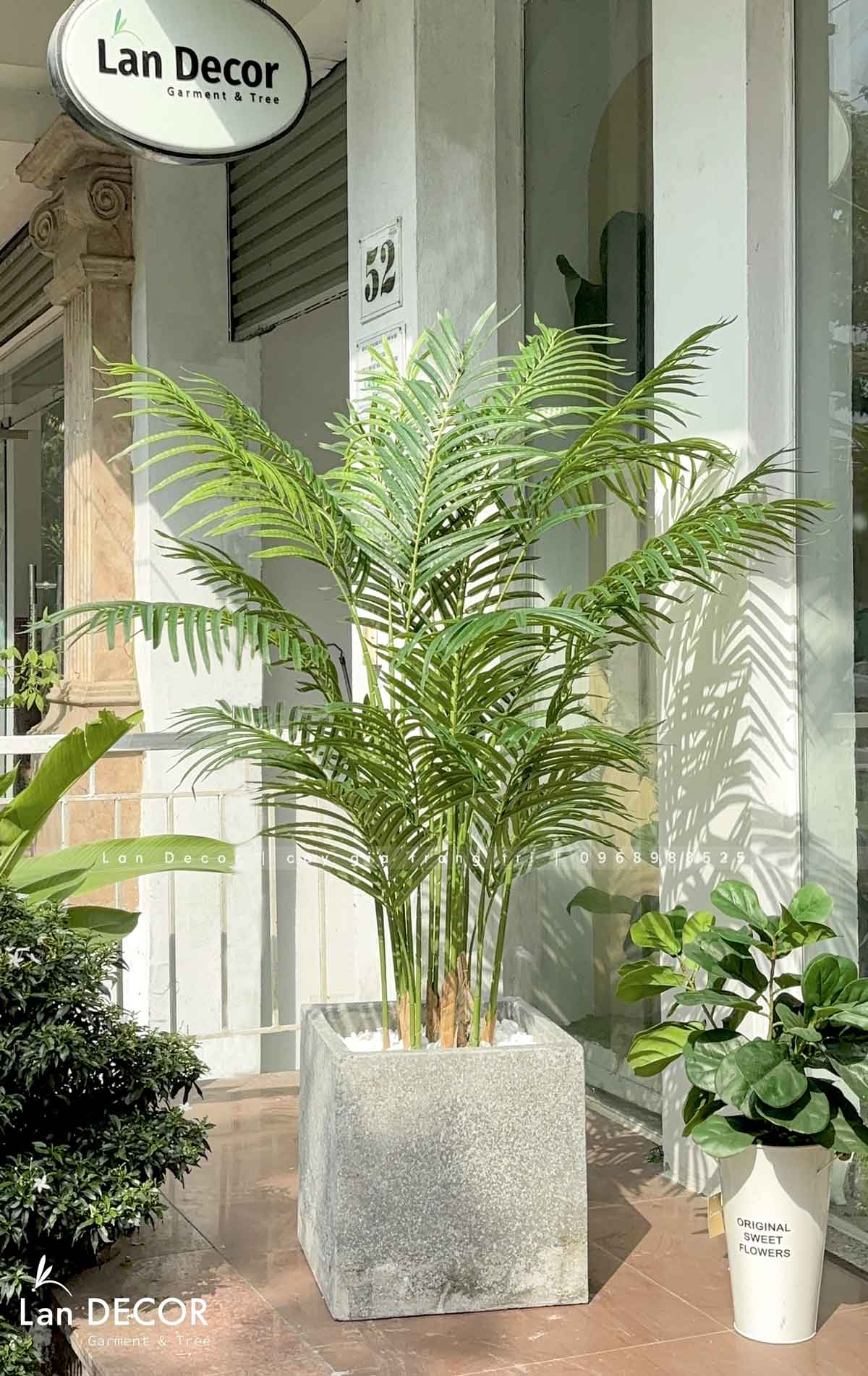 Cây giả decor - Cây dừa cảnh trang trí không gian xanh mát (150cm)- LC3038