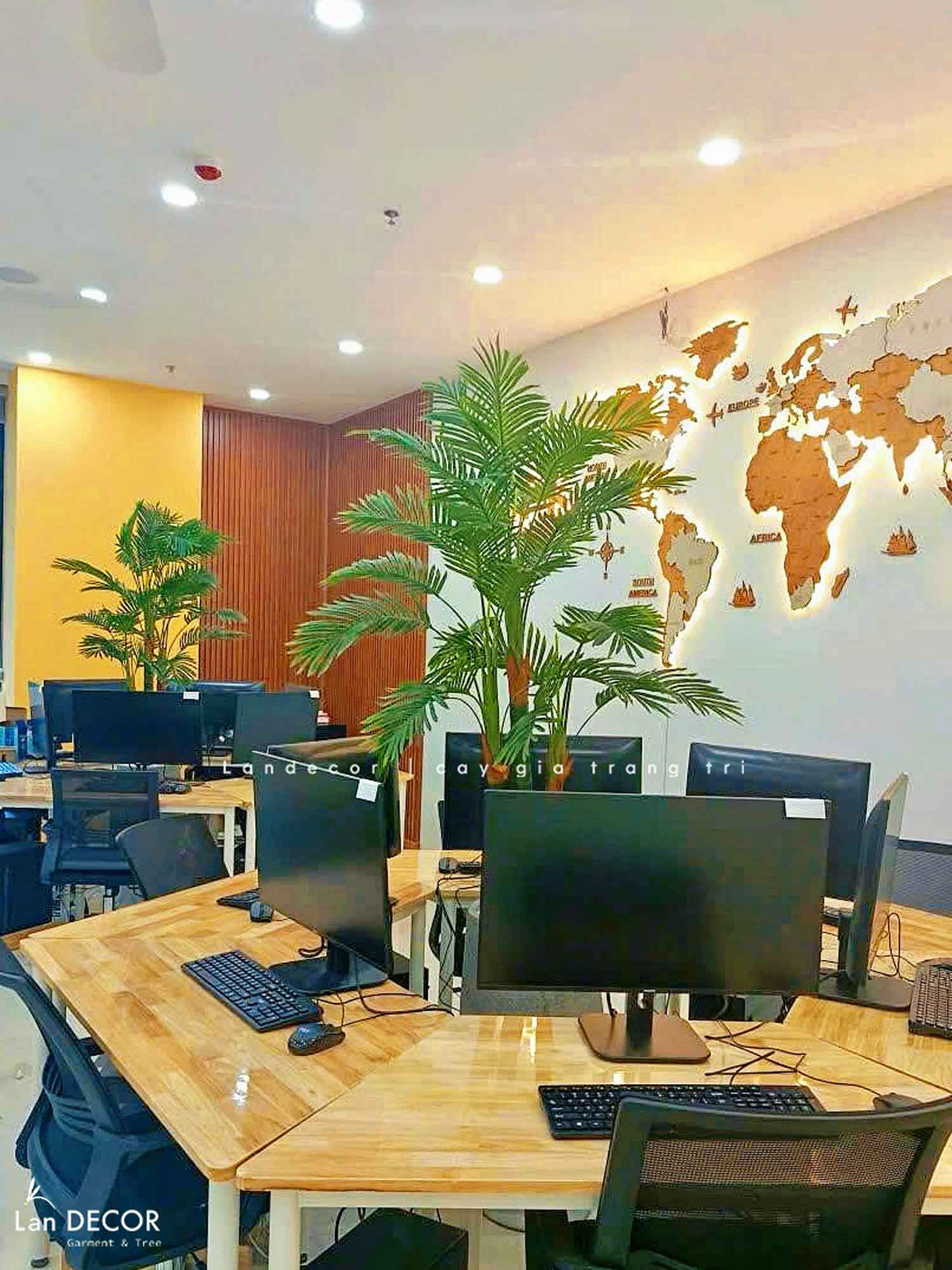 Cây dừa cảnh trang trí nhà đẹp Landecor ( 165cm) - LC3062