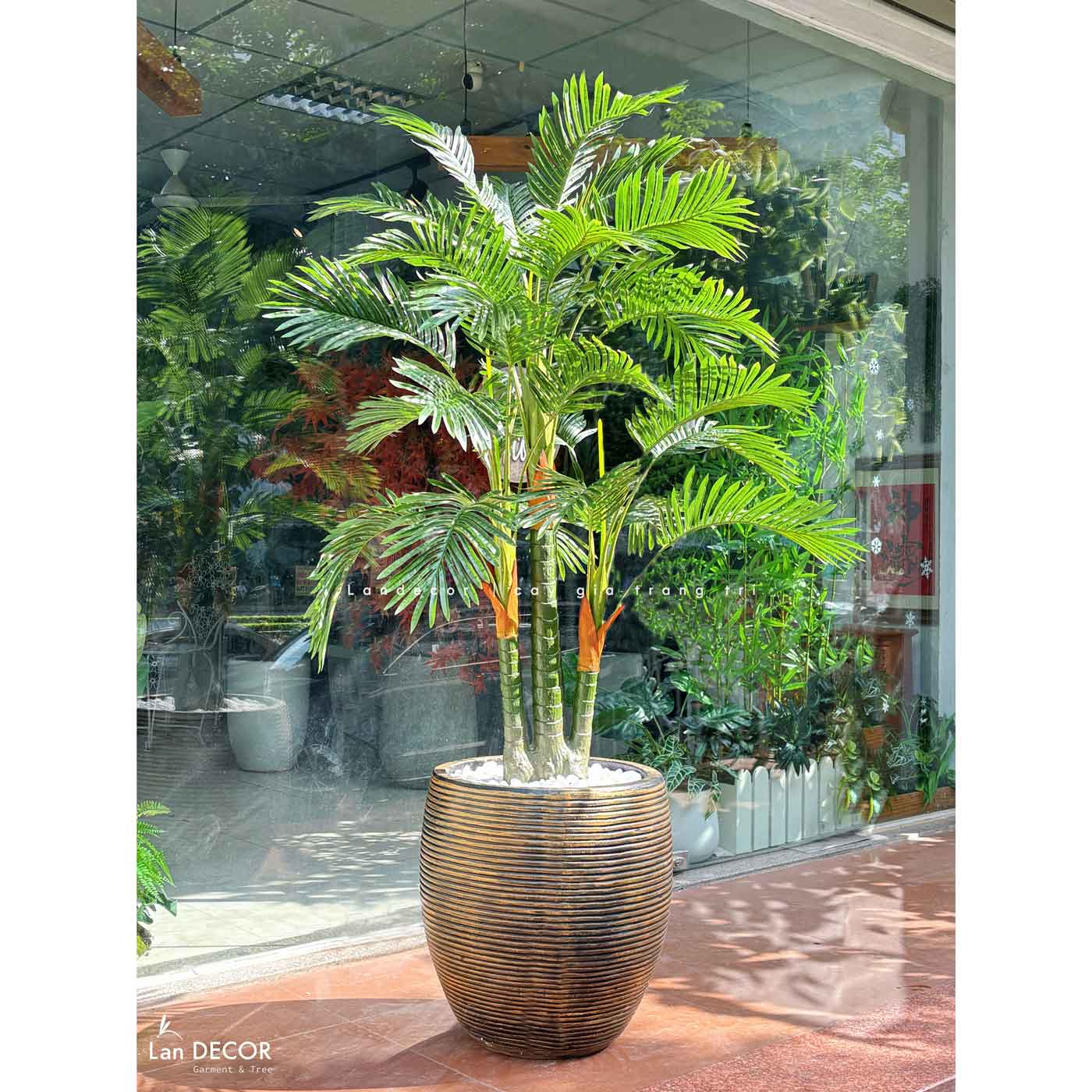 CHẬU CÂY DỪA TIỂU CẢNH PHONG CÁCH NHIỆT ĐỚI LAN DECOR - LC3062 MIX