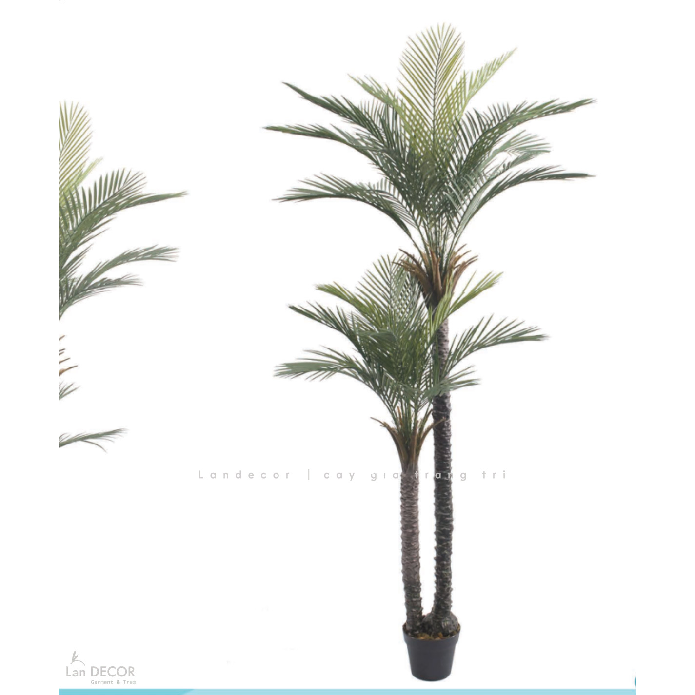 Cây Giả - Cây Dừa Giả 2 Thân Thiết Kế Văn Phòng Hiện Đại (210cm)- LC3567- ghép