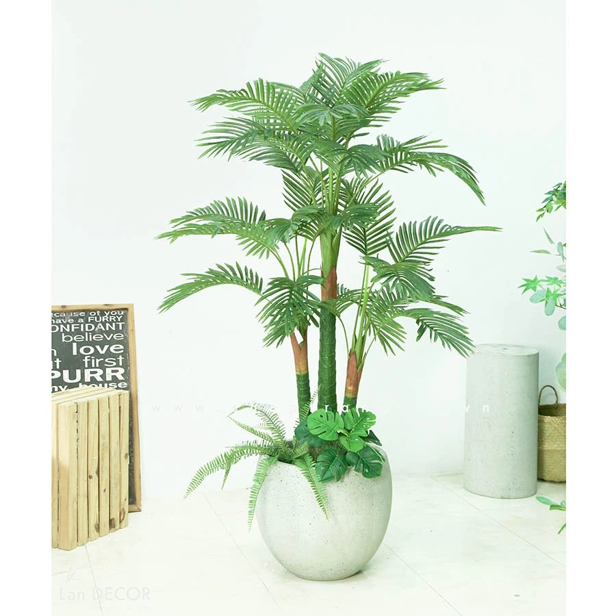 CHẬU CÂY DỪA TIỂU CẢNH PHONG CÁCH NHIỆT ĐỚI LAN DECOR - LC3062 MIX