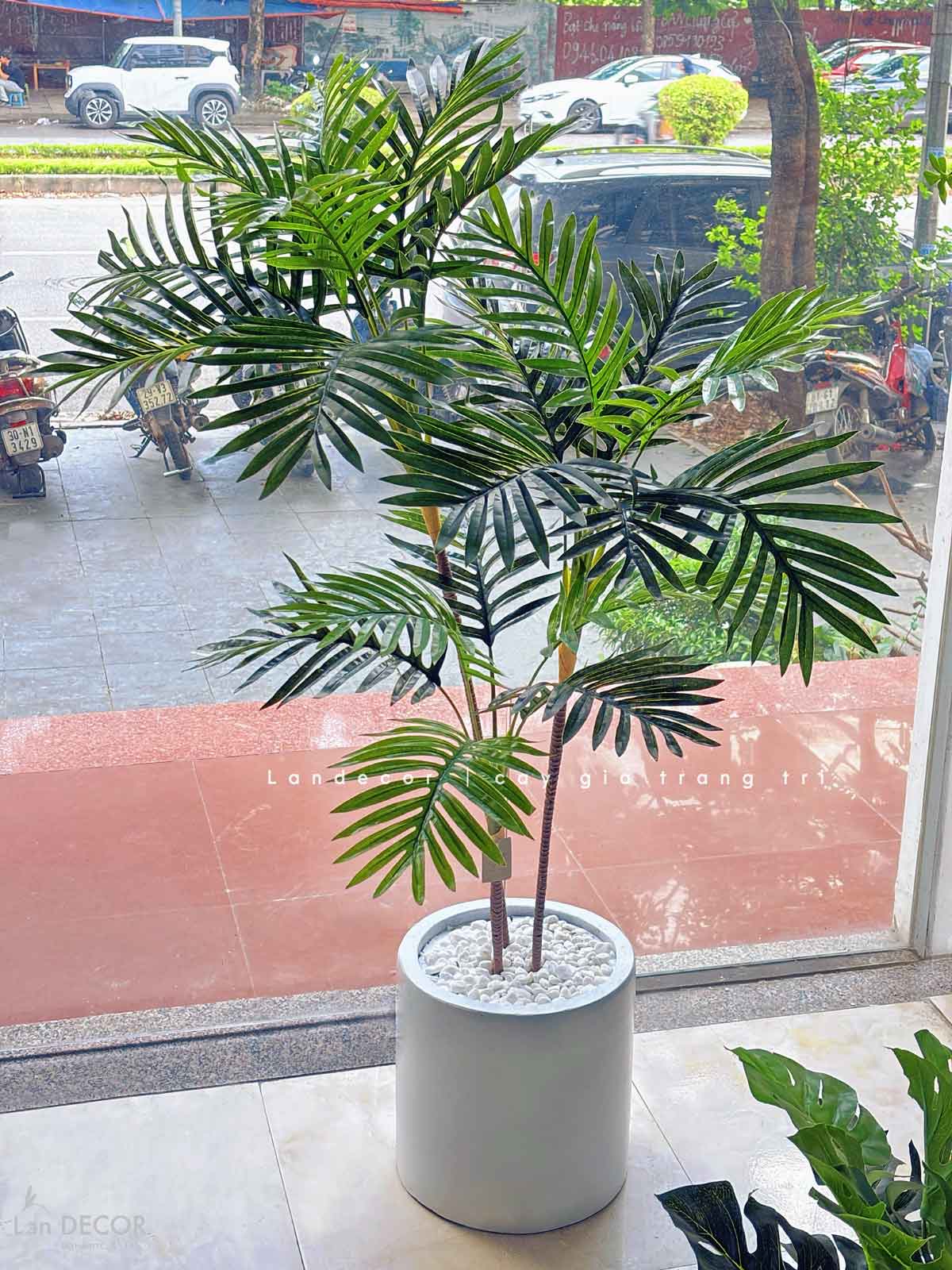 Cây dừa cảnh hiện đại trang trí nhà đẹp LanDecor (115cm) - LC2959