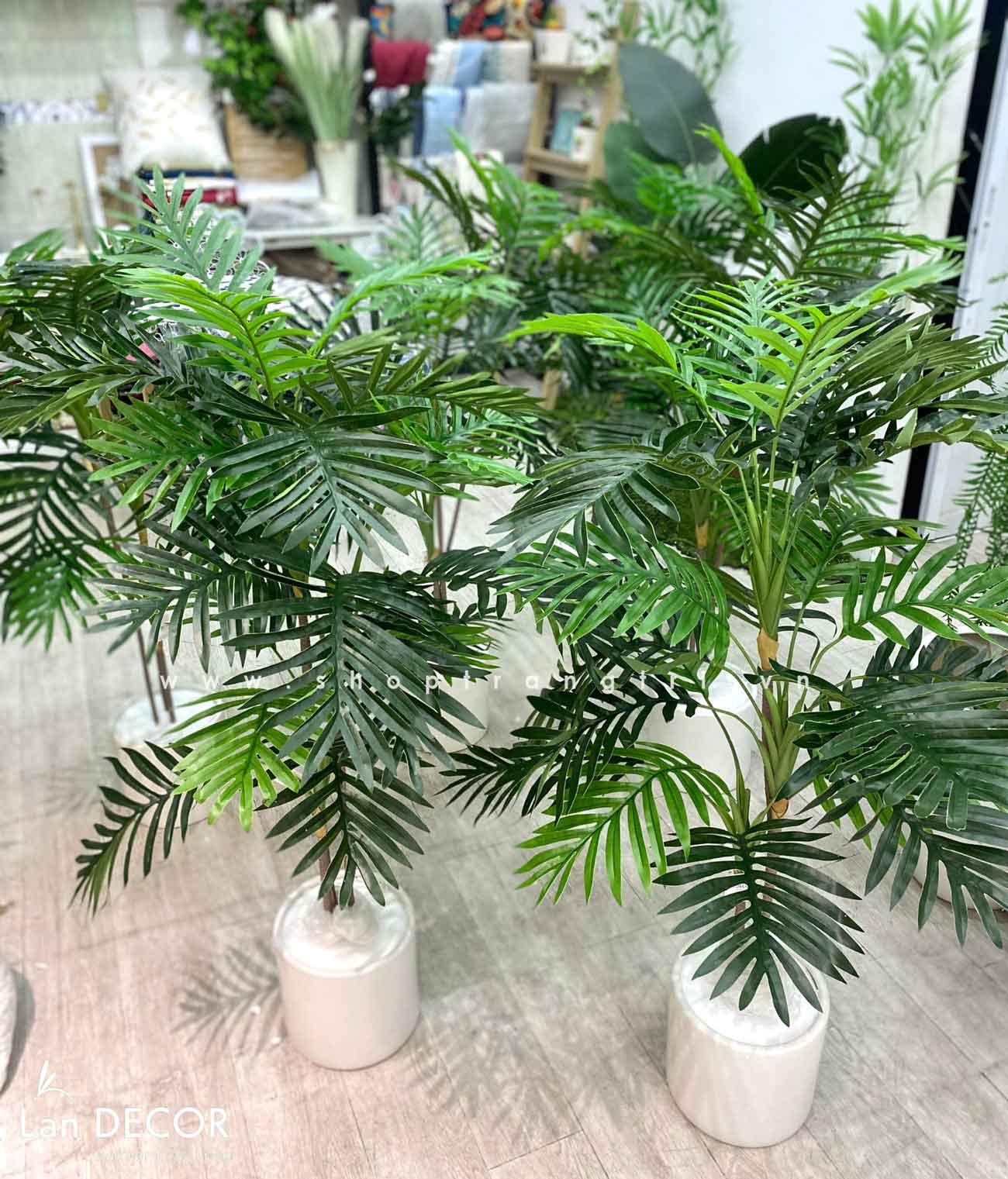 Cây dừa cảnh hiện đại trang trí nhà đẹp LanDecor (115cm) - LC2959