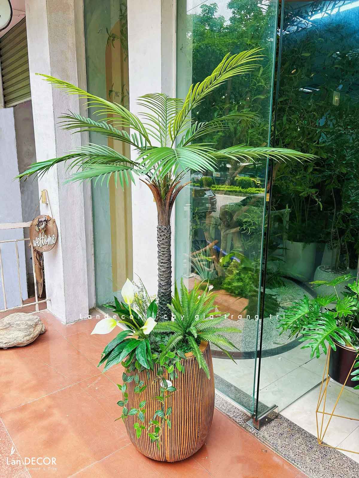 Chậu Xi Măng Trồng Cây Cảnh Thiết Kế Nội Ngoại Thất (35x54cm)- CXM047