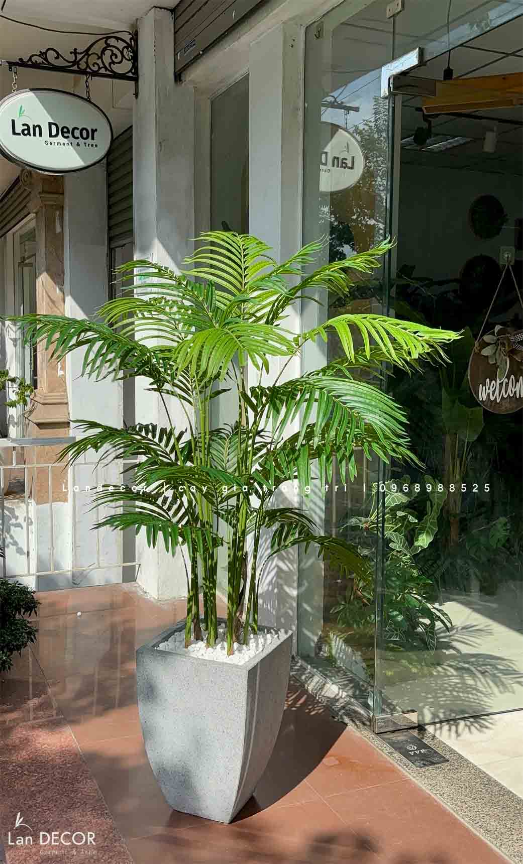 Cây giả decor - Cây dừa cảnh trang trí không gian xanh mát (150cm)- LC3038