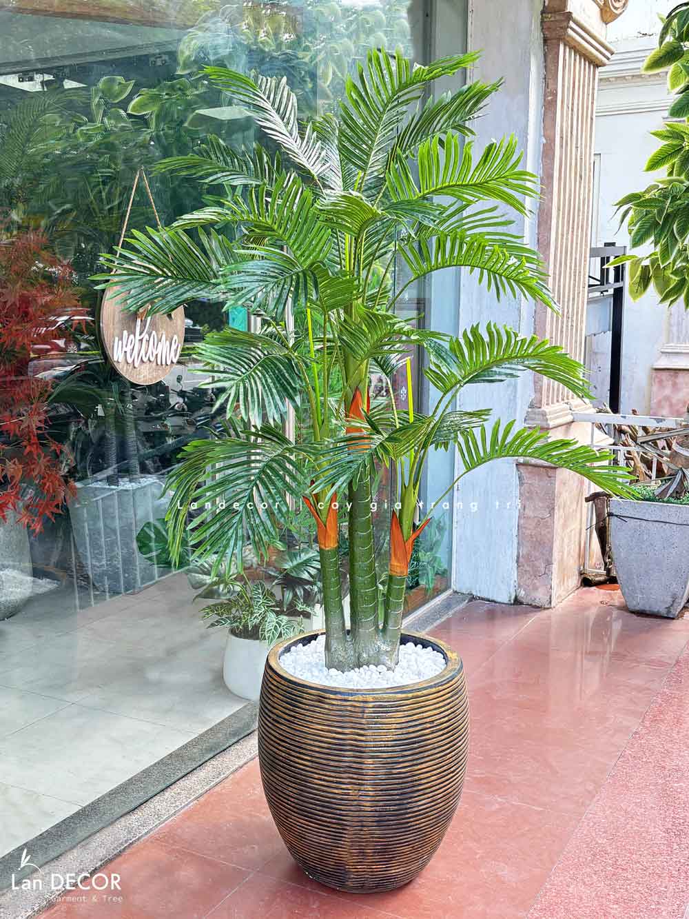 CHẬU CÂY DỪA TIỂU CẢNH PHONG CÁCH NHIỆT ĐỚI LAN DECOR - LC3062 MIX