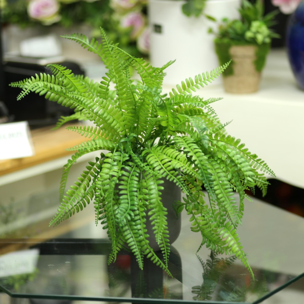 Chậu cây dương xỉ cao 45cm - CC093 Tổng Kho Sỉ Cây Giả Trang Trí Lan Decor  - Giá Từ Nhà Sản Xuất