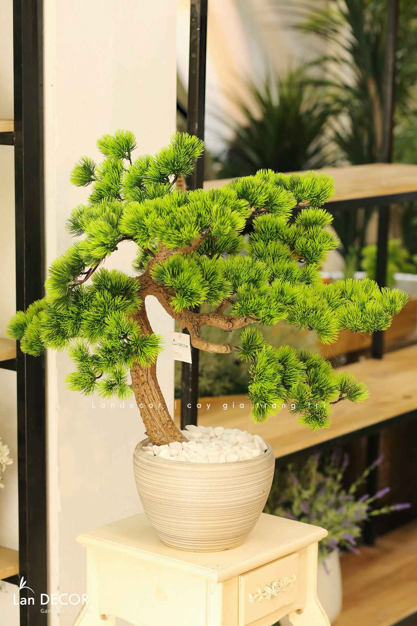 Cây Bonsai Thiết Kế - Cây Tùng Bonsai Giả Trang Trí (60cm)- CC1271