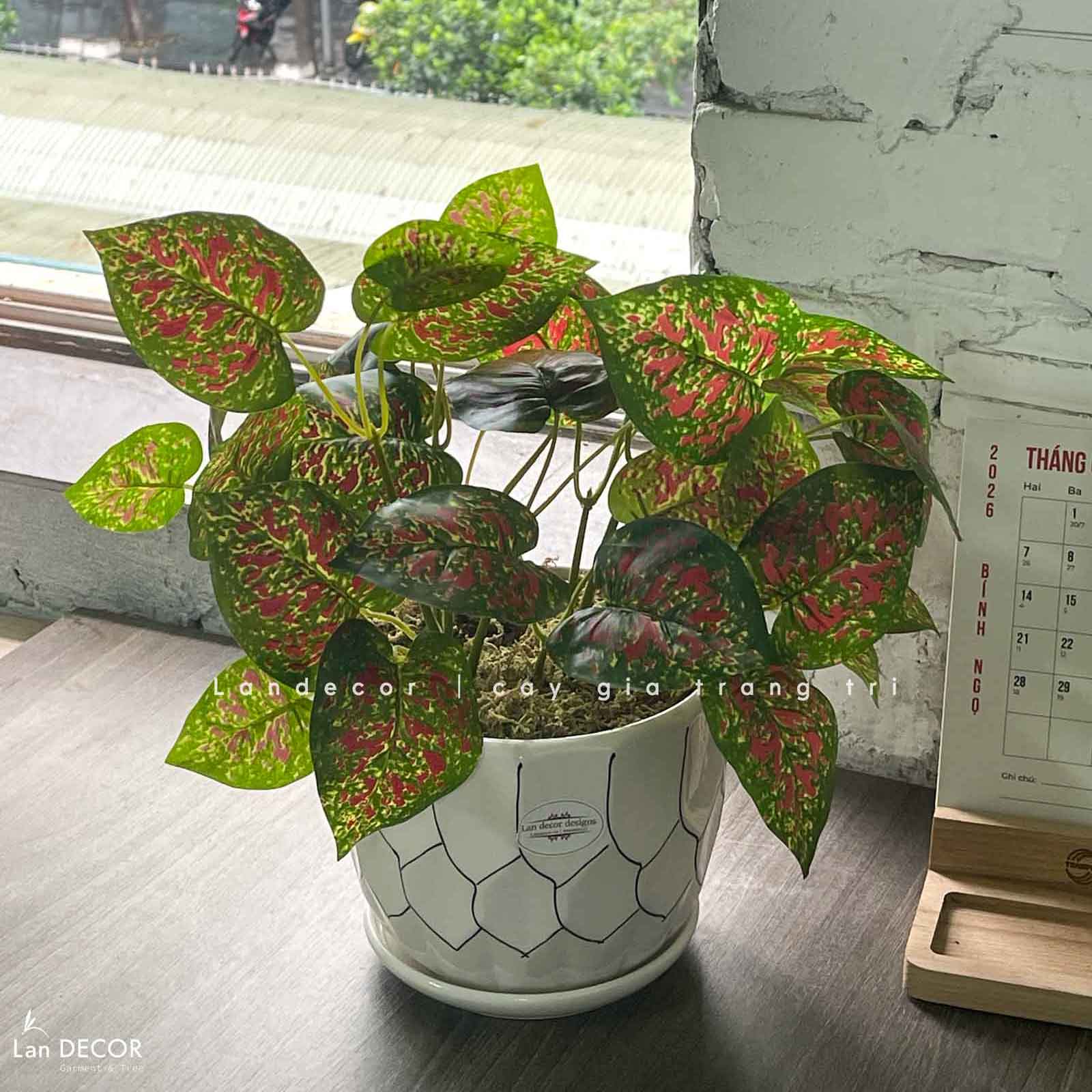Cây Giả Decor- Cây Giả Để Bàn Trang Trí (45cm)- CC1467