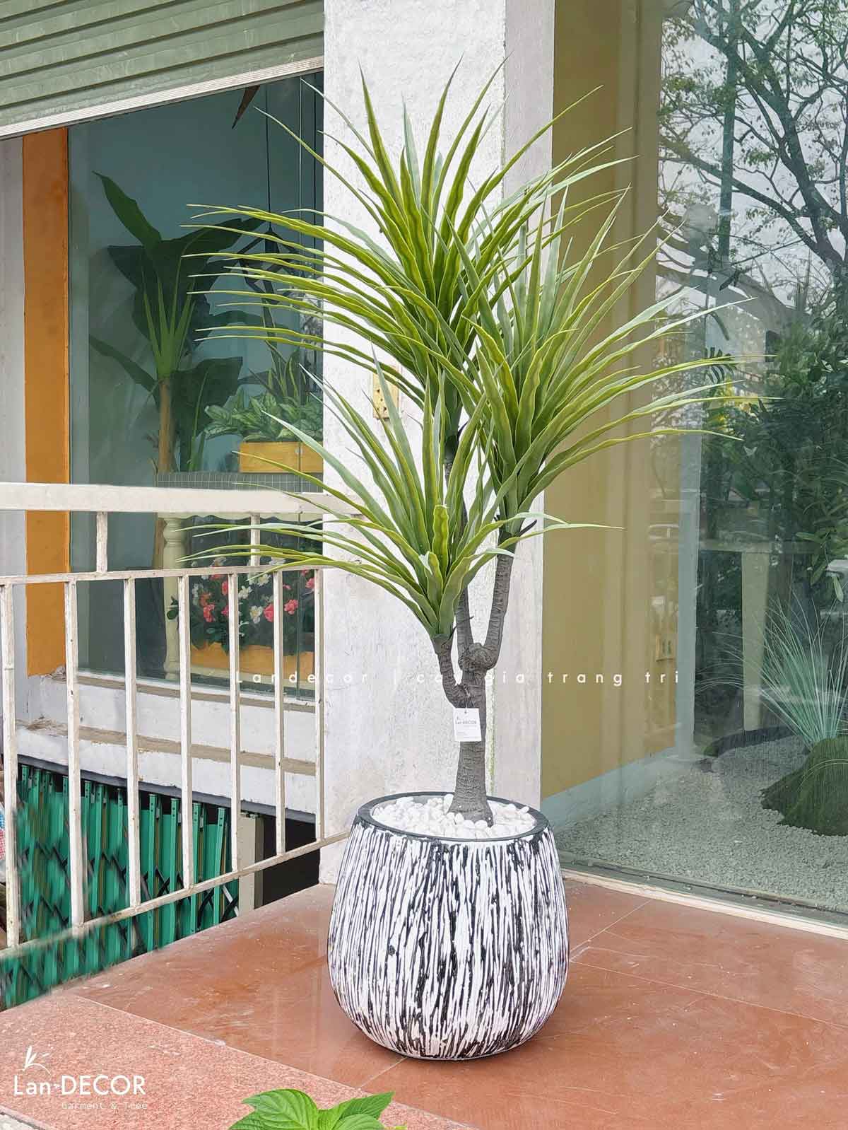 Cây Giả- Cây Yucca Giả Thiết Kế Không Gian Xanh (135cm)- LC3357