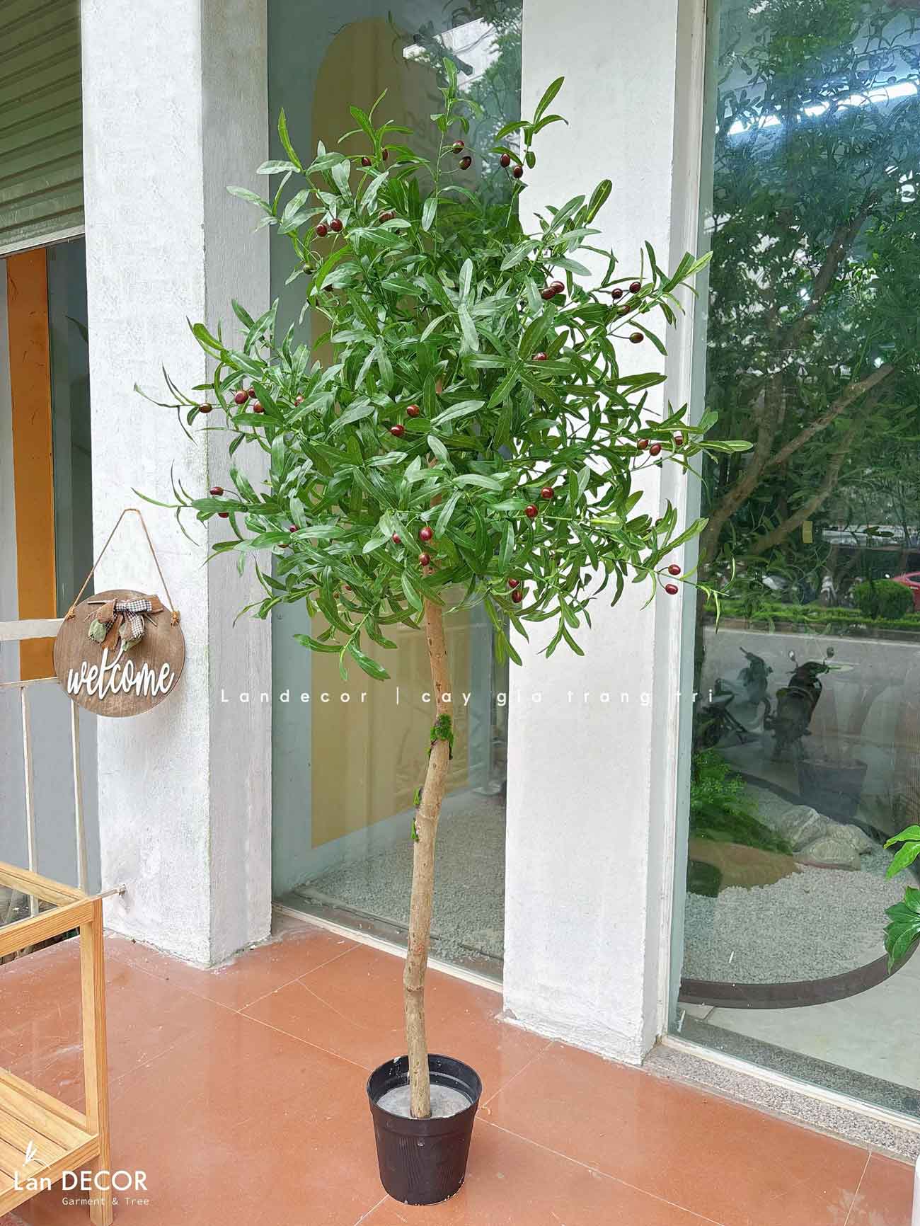 Cây Giả Decor- Cây Olive Giả Đẹp Tự Nhiên, Trang Trí Không Gian Xanh (165cm)- CC1291