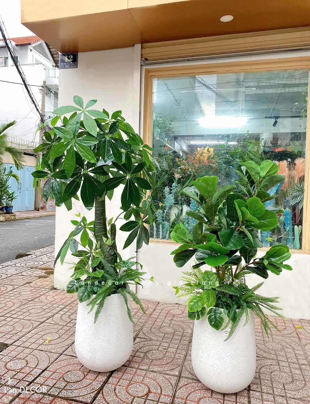 CÂY KIM NGÂN (135cm) - LC1988