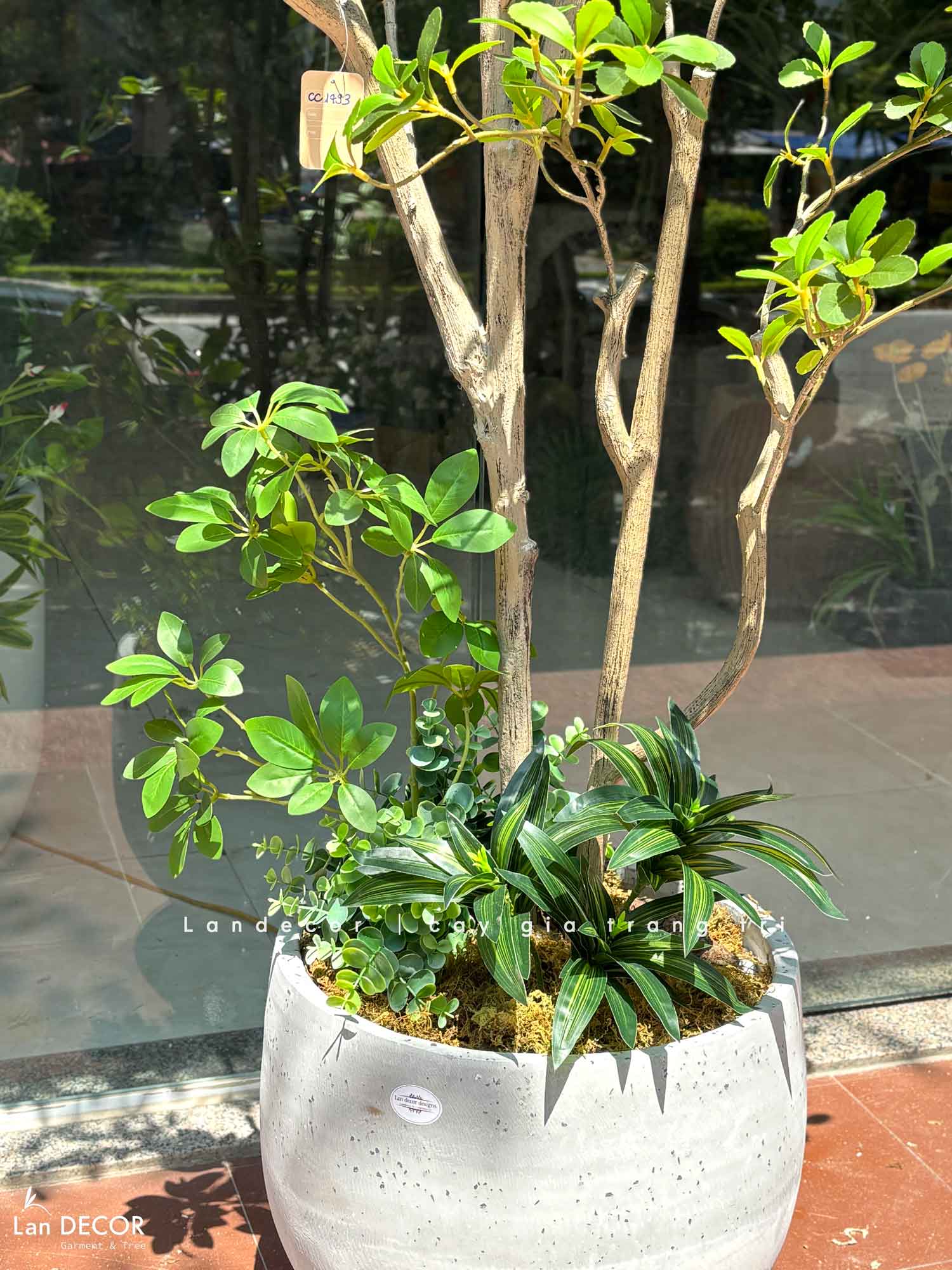 Cây Giả Tiểu Cảnh - Cây Bàng Nhật Giả Lá Xanh Decor Cửa Hiệu, Quán Cafe- CC1493