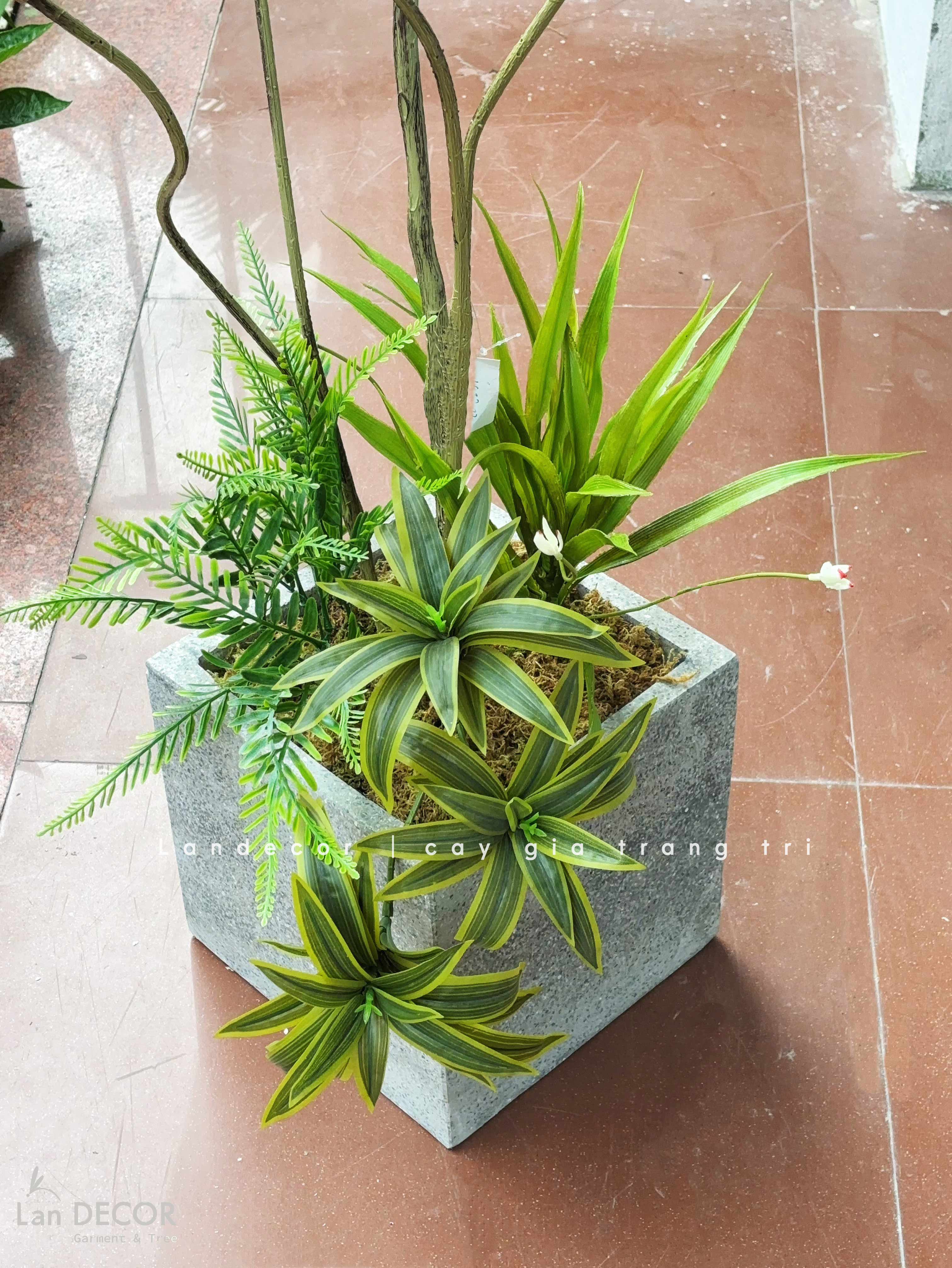 Cây Giả Trang Trí- Cây Thiết Mộc Lan Giả Decor Không Gian Độc Đáo (160cm)- LC3737-1-XANH