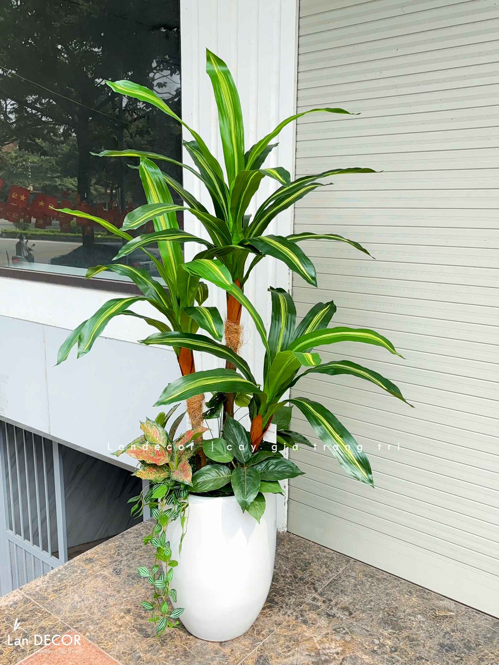 Cây Giả Decor- Cây Thiết Mộc Lan Giả Decor Cửa Hiệu (120cm)- LC2682