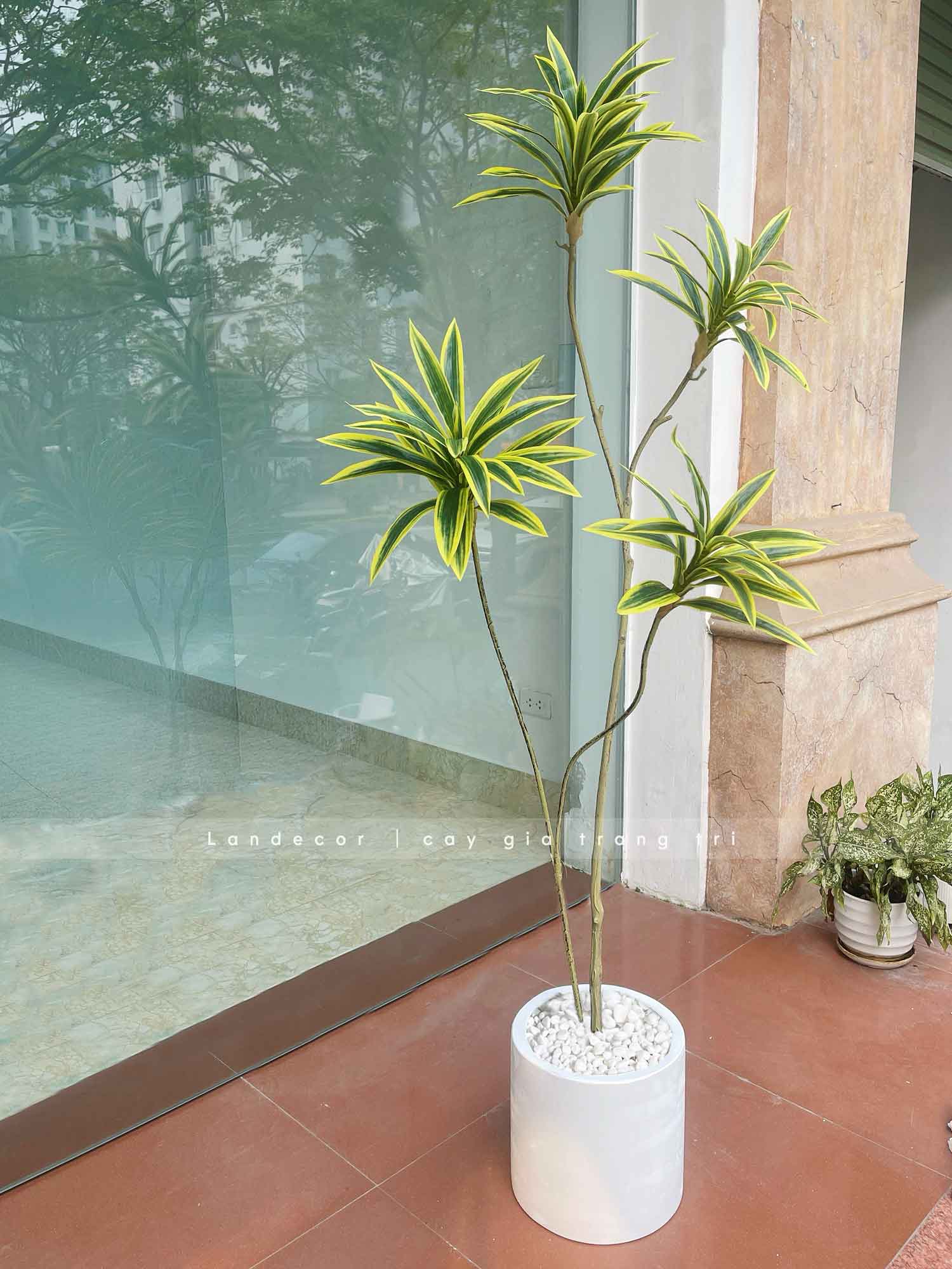 Cây Lá Giả- Cây Thiết Mộc Lan Giả 4 Nhánh Trang Trí Căn Hộ Kiểu Mới (150cm)- LC3736-vàng