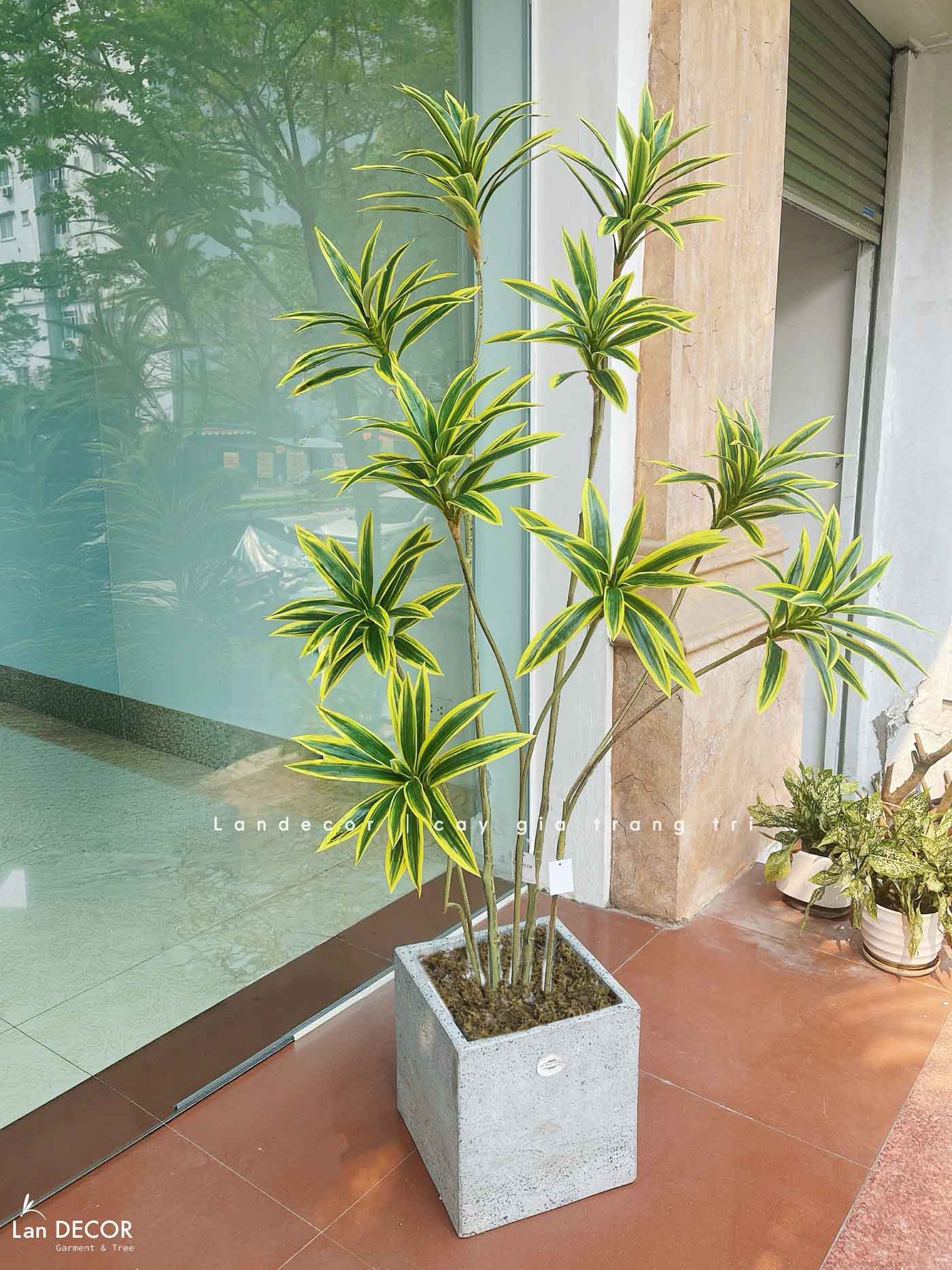 Cây Giả - Cây Thiết Mộc Lan Giả Decor Nội Thất Căn Hộ (160cm)- LC3737-VÀNG MIX