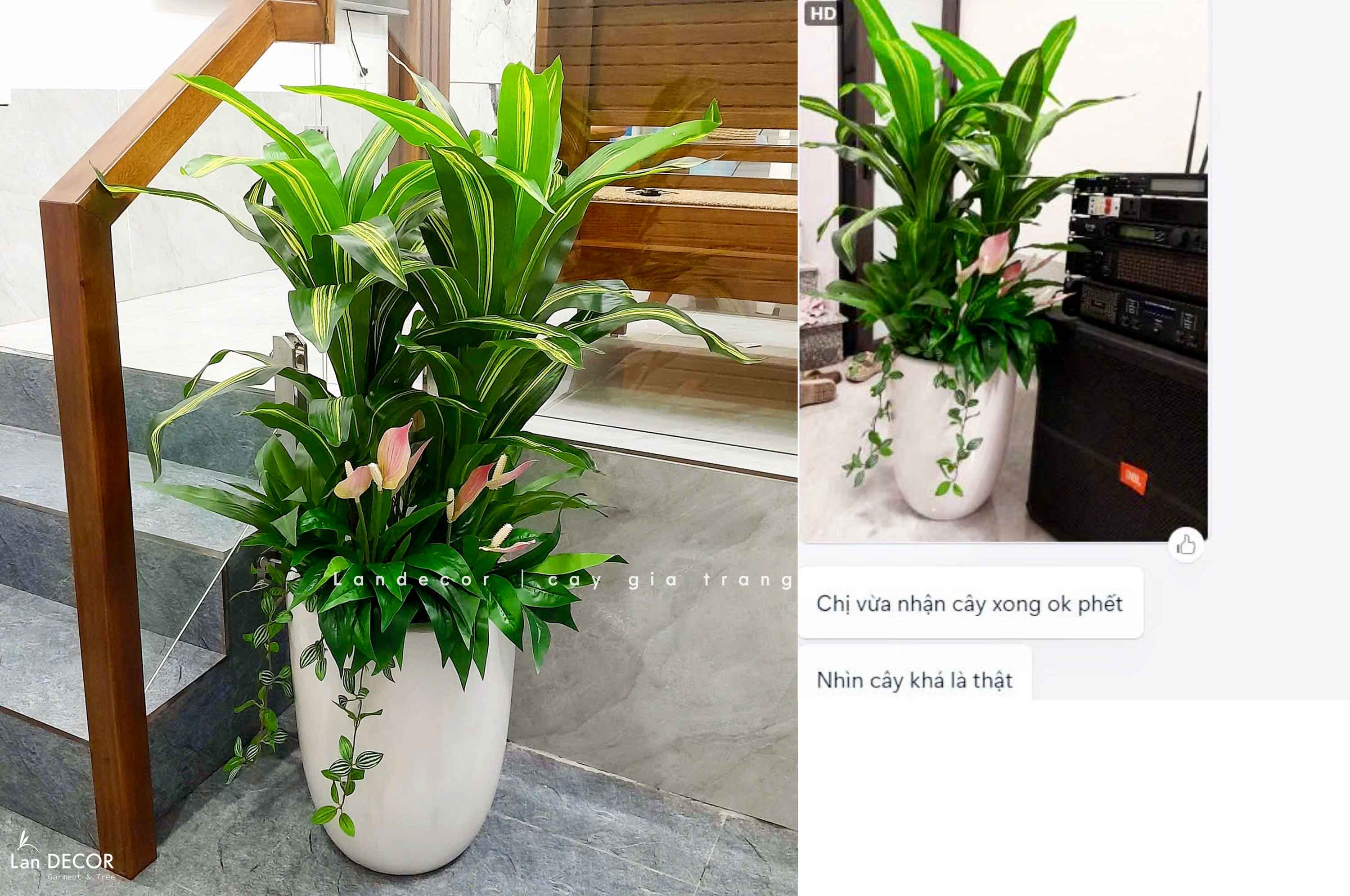 Cây Giả Decor- Cây Thiết Mộc Lan Giả Tiểu Cảnh (90cm)- LC2398