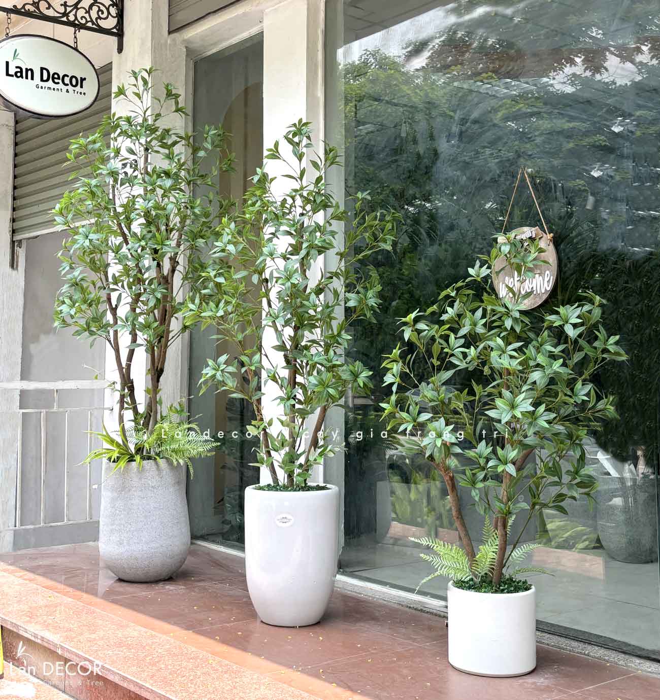 Cây Giả Trang Trí- Cây Asebi Thiết Kế Cửa Hiệu Xanh Mát (130cm)- CC1056