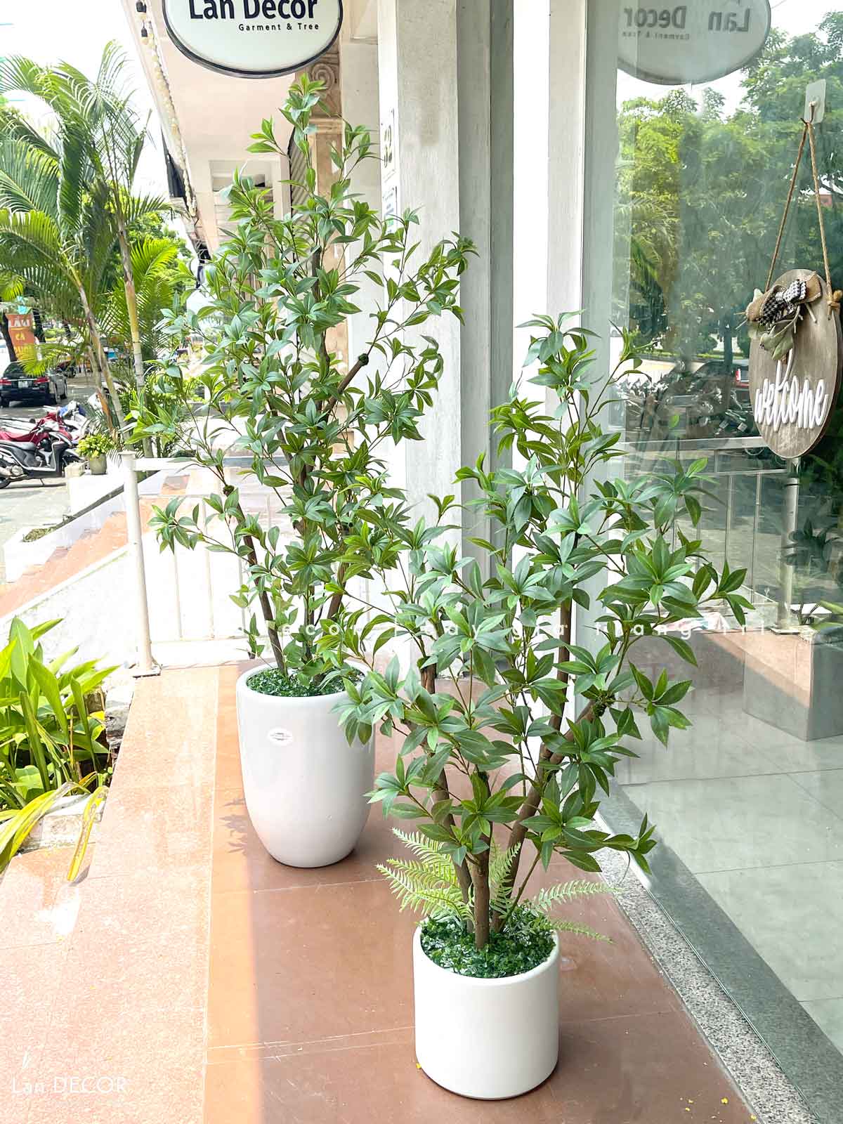 Cây Giả Trang Trí- Cây Asebi Thiết Kế Cửa Hiệu Xanh Mát (130cm)- CC1056