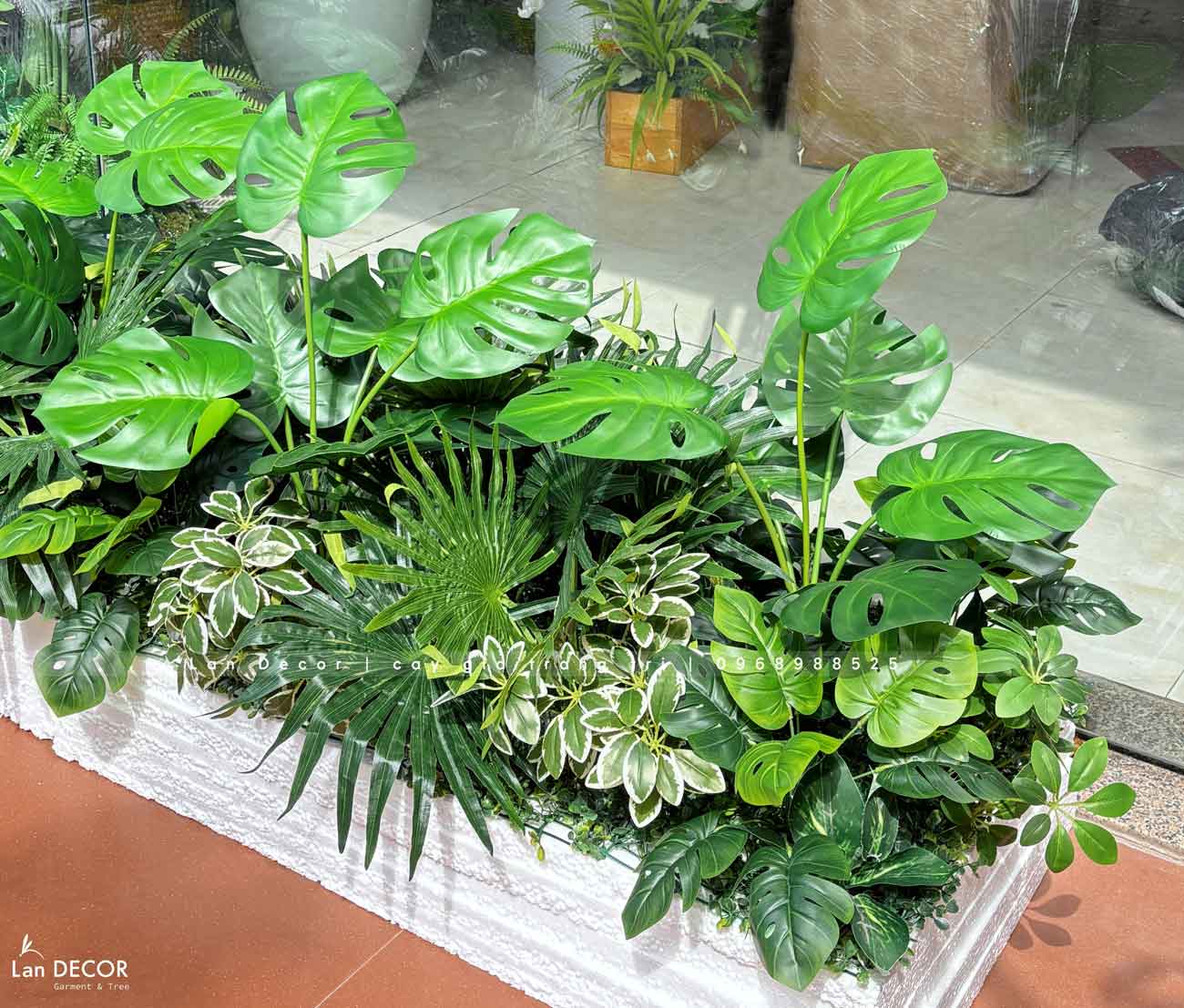 bon-cay-tieu-canh 