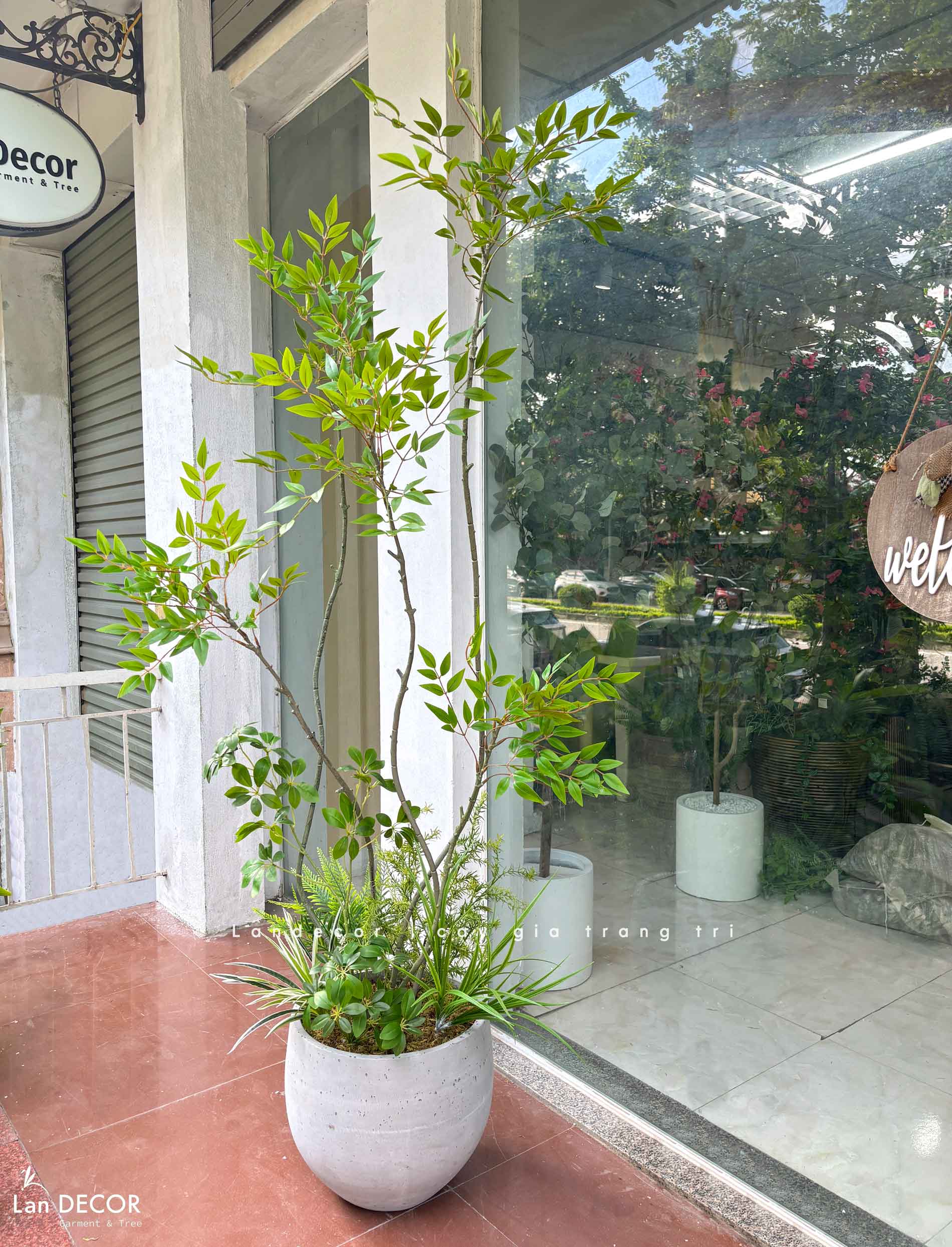 Nam Thiên Trúc Giả- Cây Nam Thiên Trúc Giả Decor Căn Hộ Hiện Đại (190cm)- LC3047-5