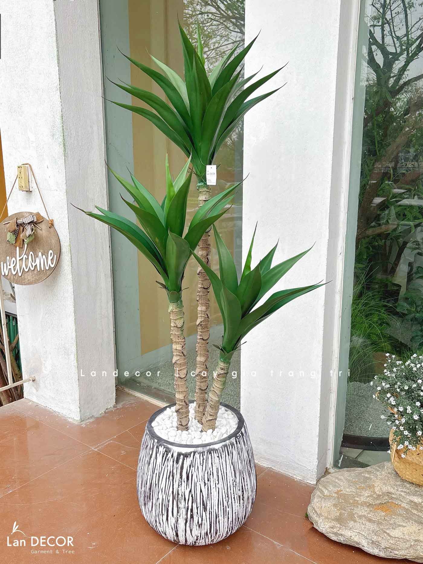 Cây Giả Tiểu Cảnh- Cây Yucca Giả Trang Trí Tiểu Cảnh Xương Rồng Độc Đáo (120cm)- LC3541