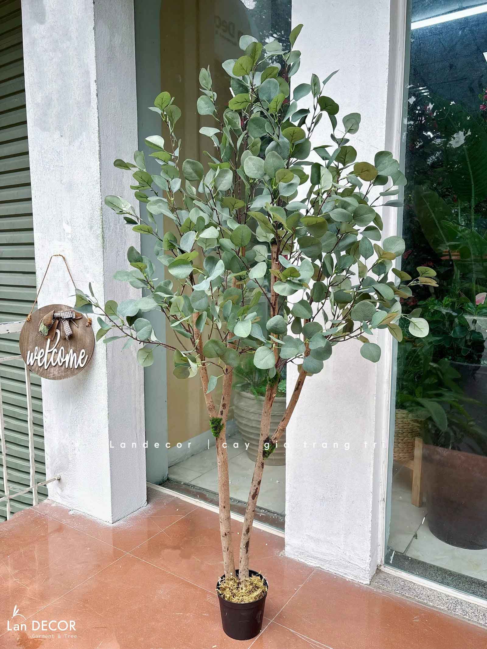 Cây Cảnh Giả- Chậu Cây Bạch Đàn Giả Thiết Kế Đẹp Tự Nhiên - CC1444