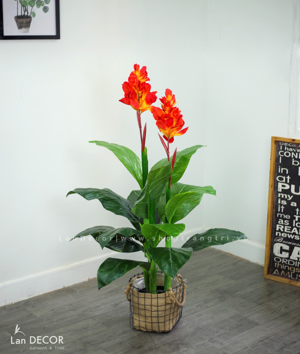 CÂY TÀI LỘC HOA TRANG TRÍ ĐẸP LAN DECOR - LC1802