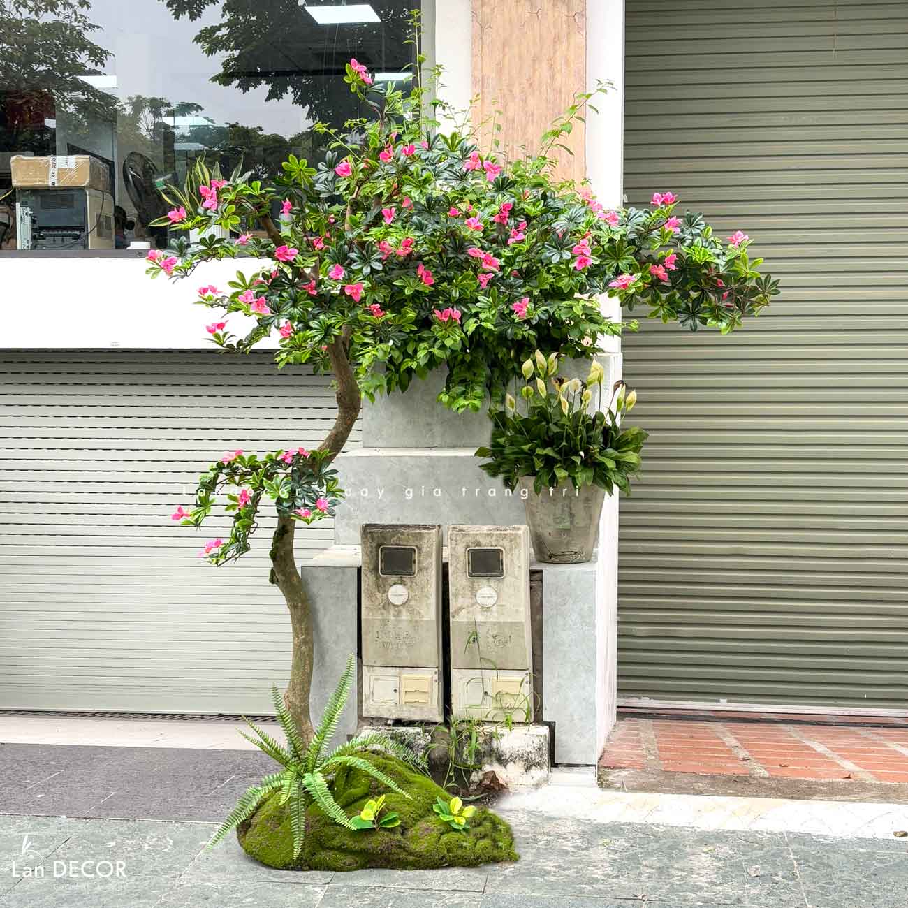 Cây Giả Tiểu Cảnh - Cây Đỗ Quyên Dáng Huyền Trang Trí Tiểu Cảnh Ấn Tượng (200cm)- CC1090