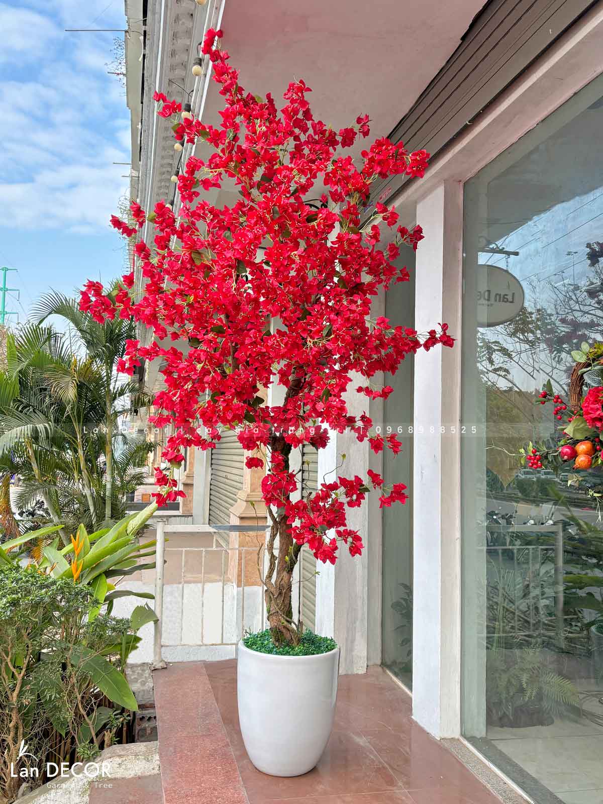 CHẬU CÂY HOA GIẤY ĐỎ RỰC RỠ THIẾT KẾ LAN DECOR (2m5) - CC817