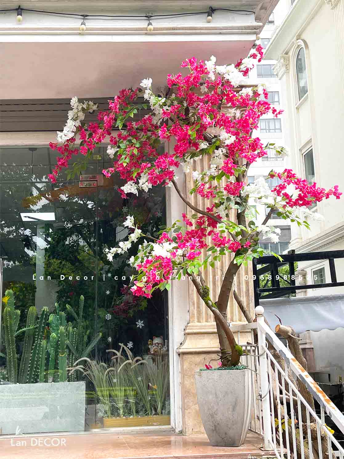 CÂY HOA GIẤY TRƯNG BÀY CỬA HÀNG HÚT MẮT (2m8)- CC881