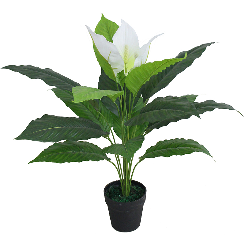 CÂY LAN Ý TRANG TRÍ KHÔNG GIAN HIỆN ĐẠI SANG TRỌNG (70cm) - LC2926