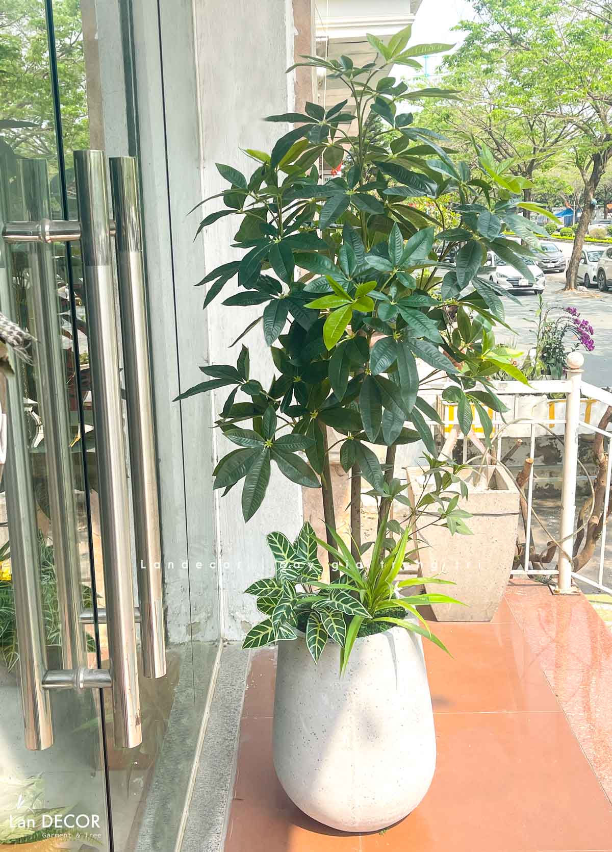 Cây Giả Trang Trí- Cây Kim Ngân Giả Thiết Kế Lan Decor (150cm)- LC3346-1