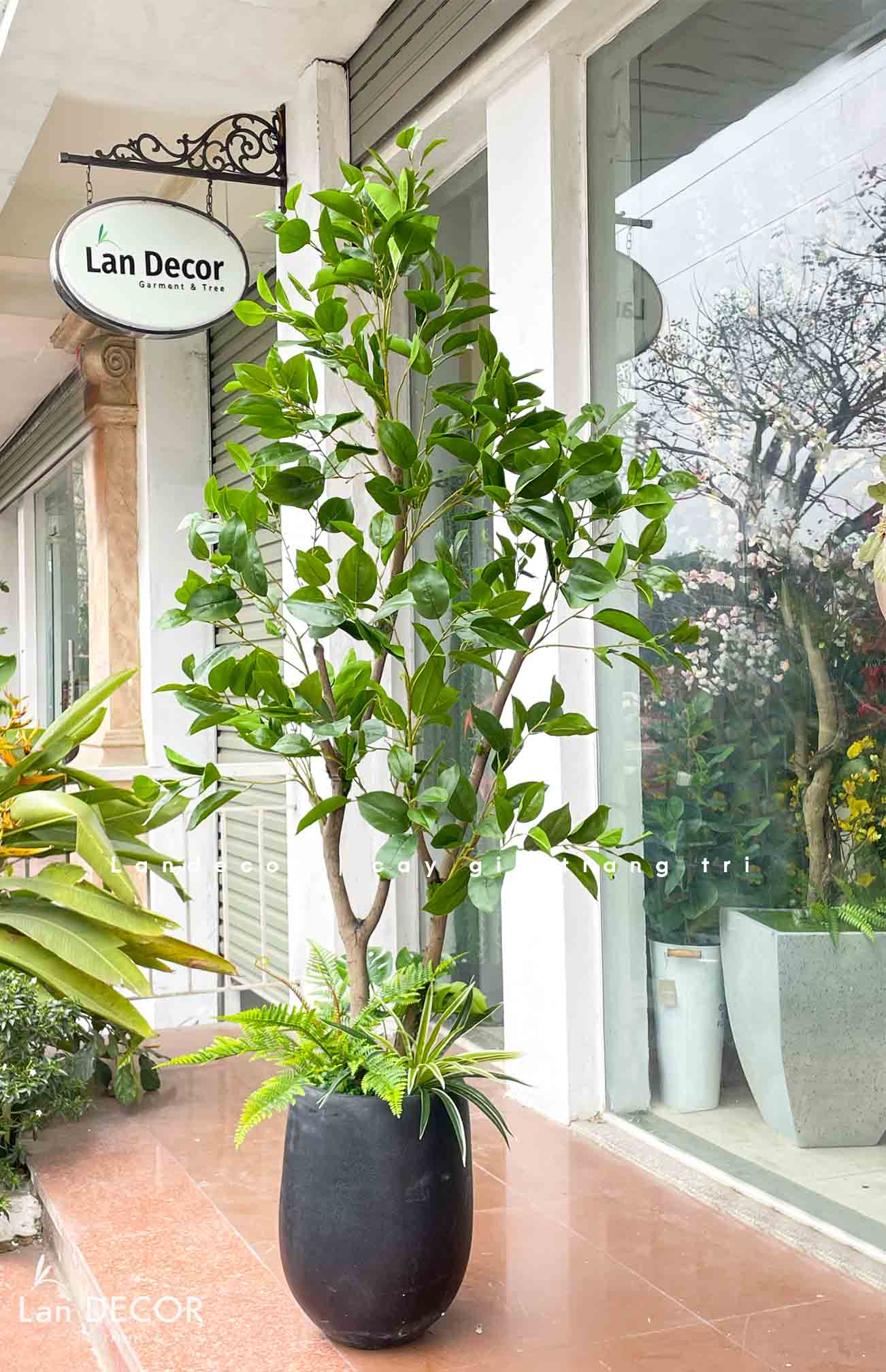 CÂY LÁ MỘC TRANG TRÍ NHÀ TẠO CẢNH QUAN XANH MÁT CAO 180CM - CC812