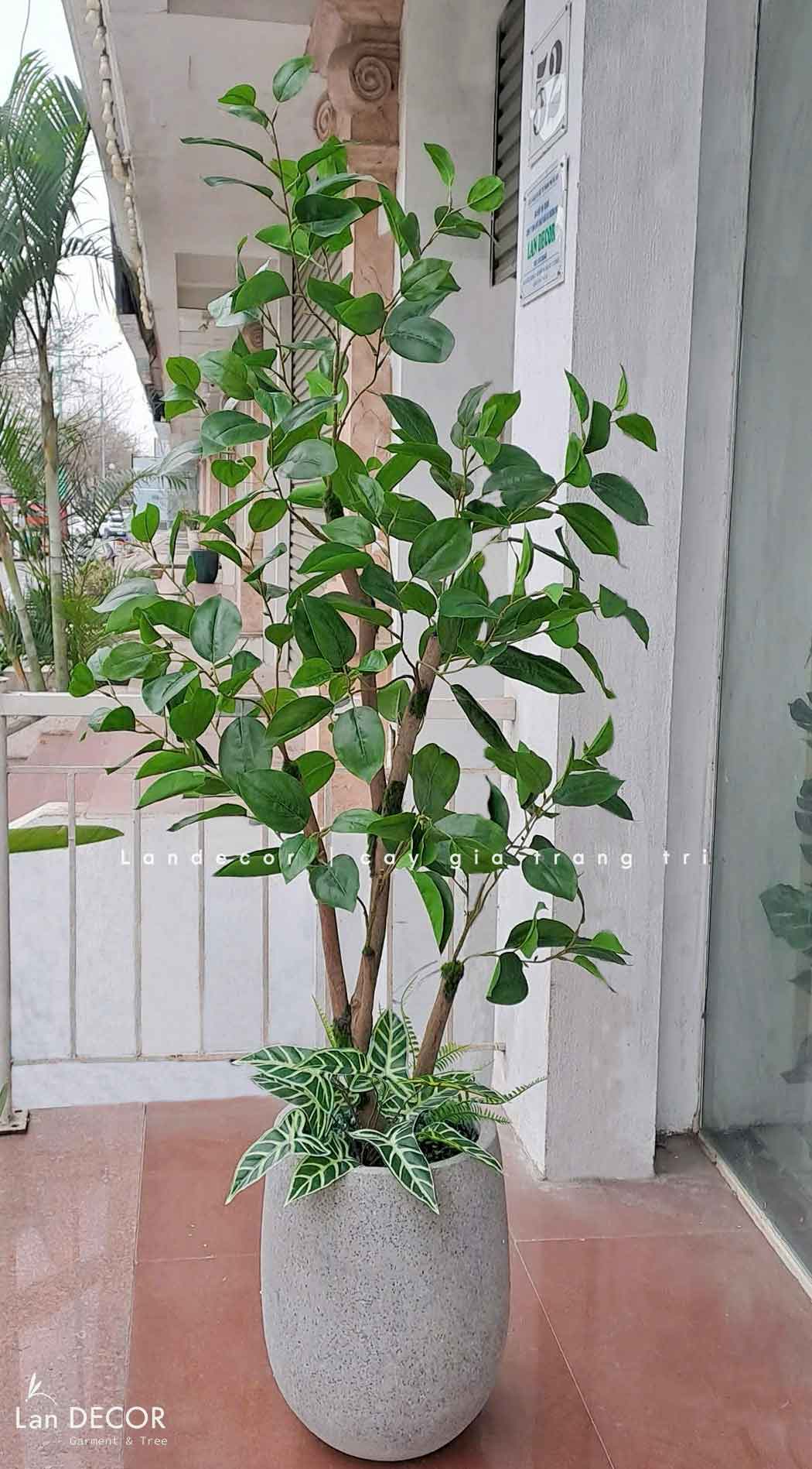 Cây Giả Thiết Kế- Cây Lá Mộc Trang Trí Cảnh Quan (155cm)- CC1046