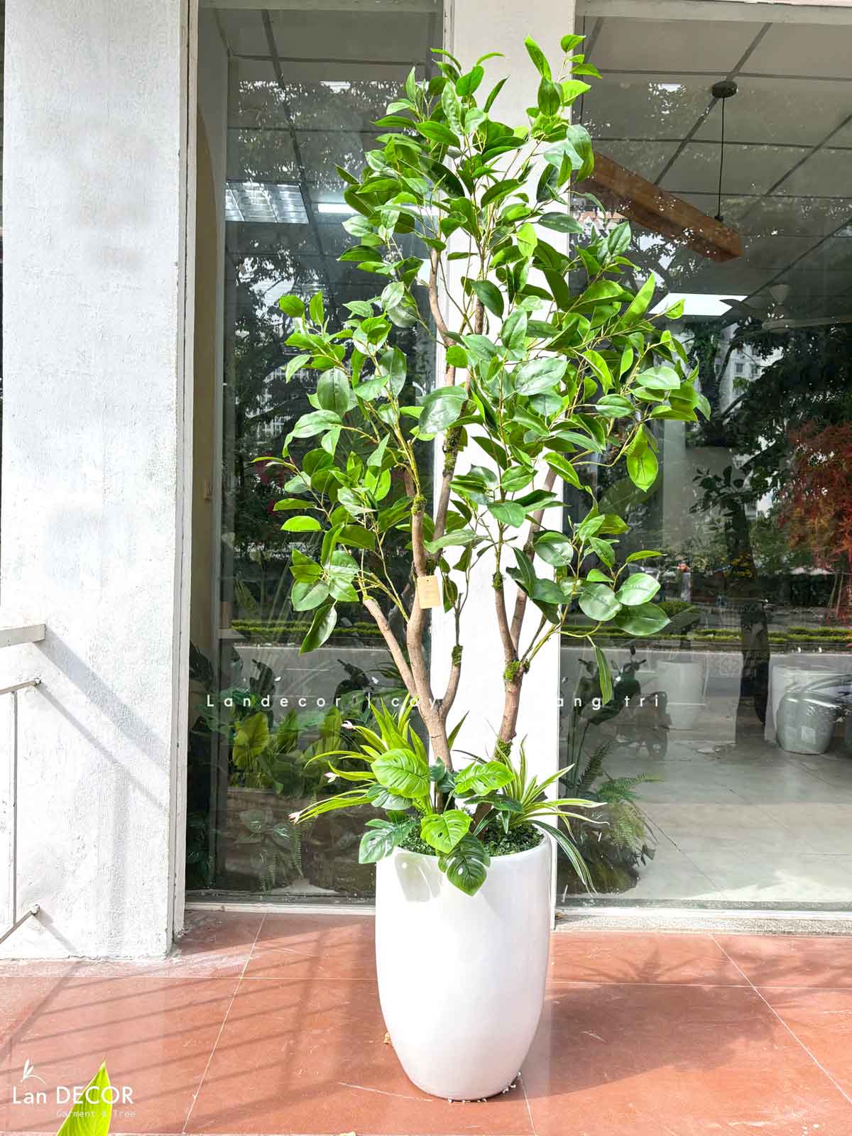 CÂY LÁ MỘC TRANG TRÍ NHÀ TẠO CẢNH QUAN XANH MÁT CAO 180CM - CC812