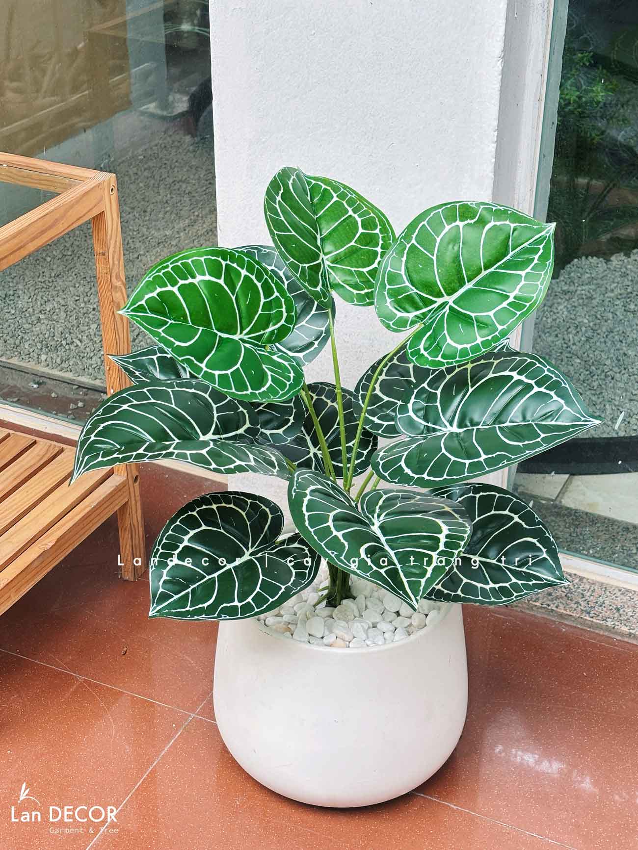Cây Giả Decor- Cây Lá Môn Giả Decor Tiểu Cảnh Độc Đáo (45cm) - LC2026-10