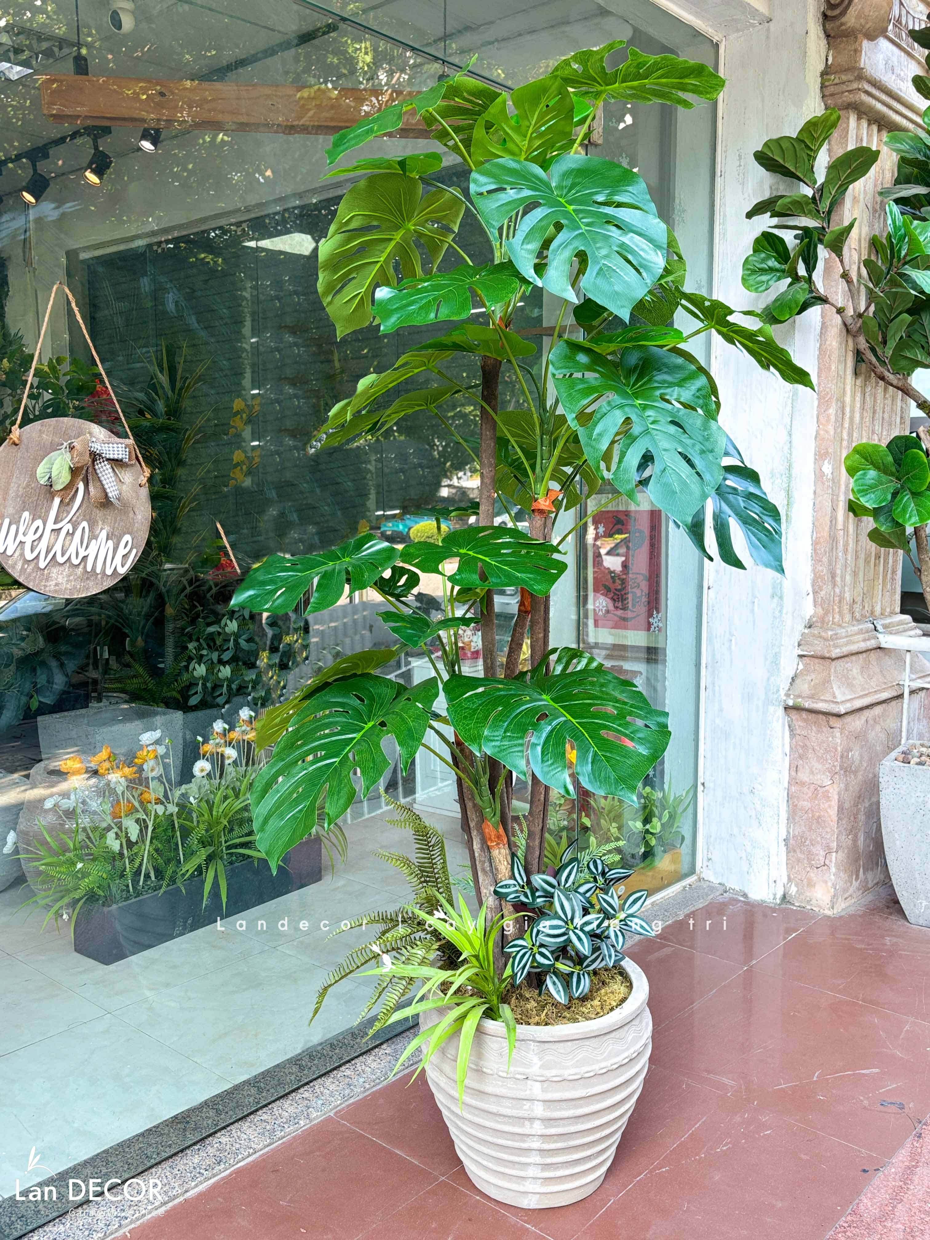 Cây lá rùa trang trí phong cách nhiệt đới hiện đại (170cm) - LC2691