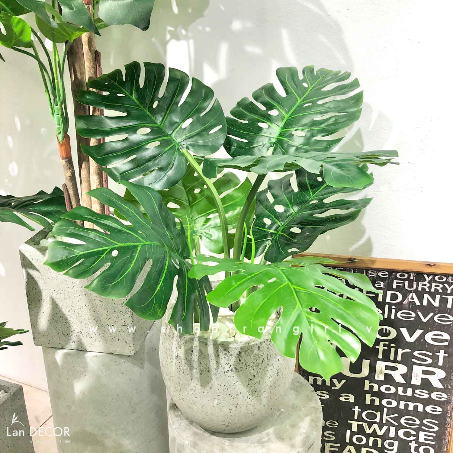 Cây Giả Decor - Cây Monstera Trang Trí Nhà Đẹp Landecor (85cm) - LC3057